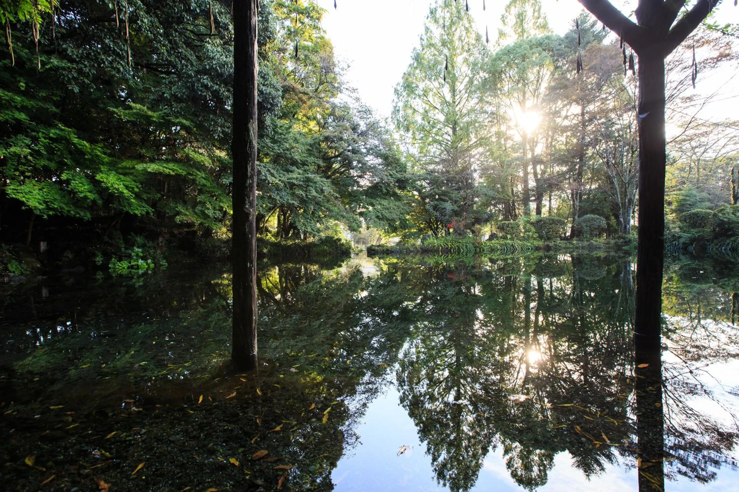 Natural landscape in GOTEN TOMOE residence