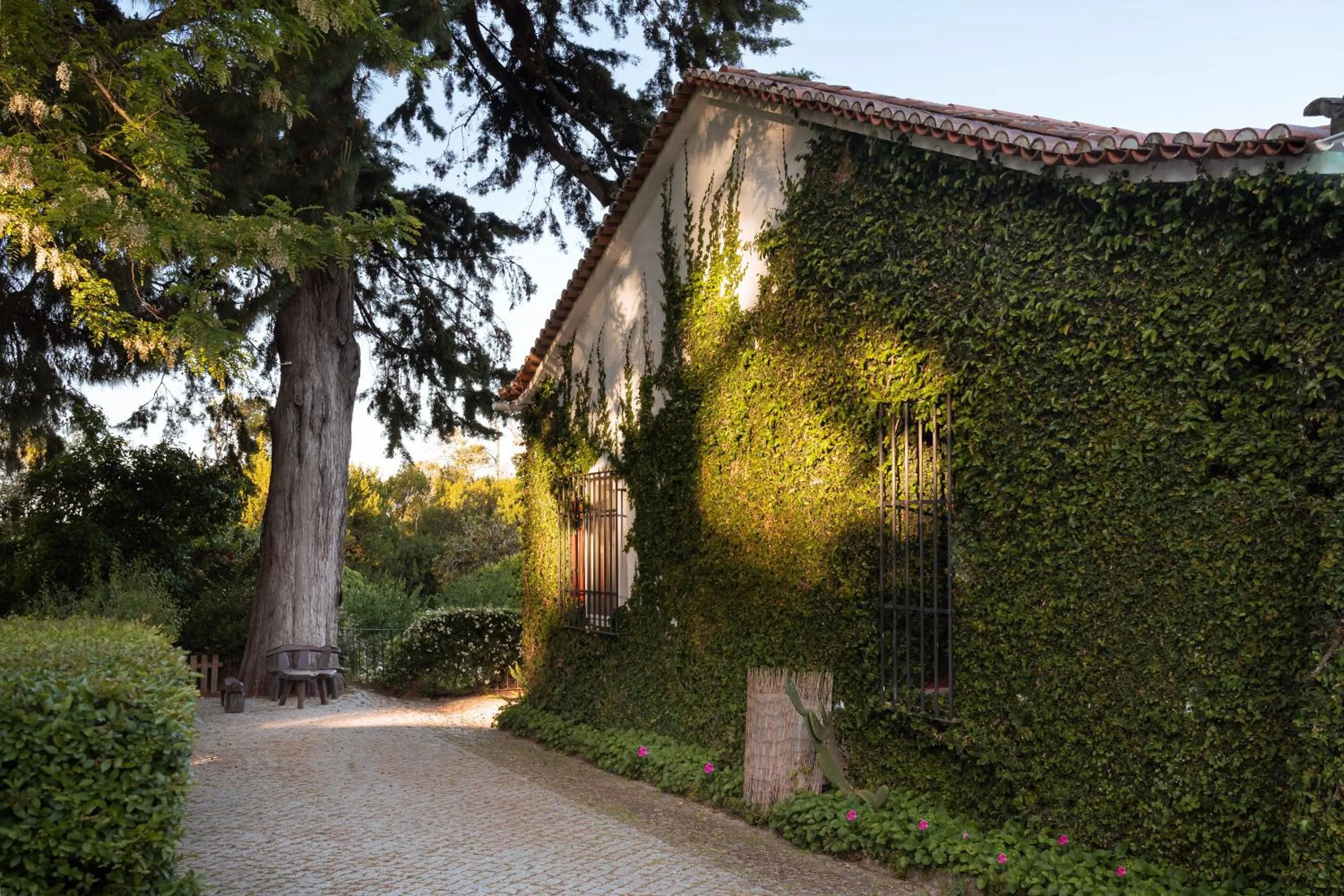 Property building in Imani Country House