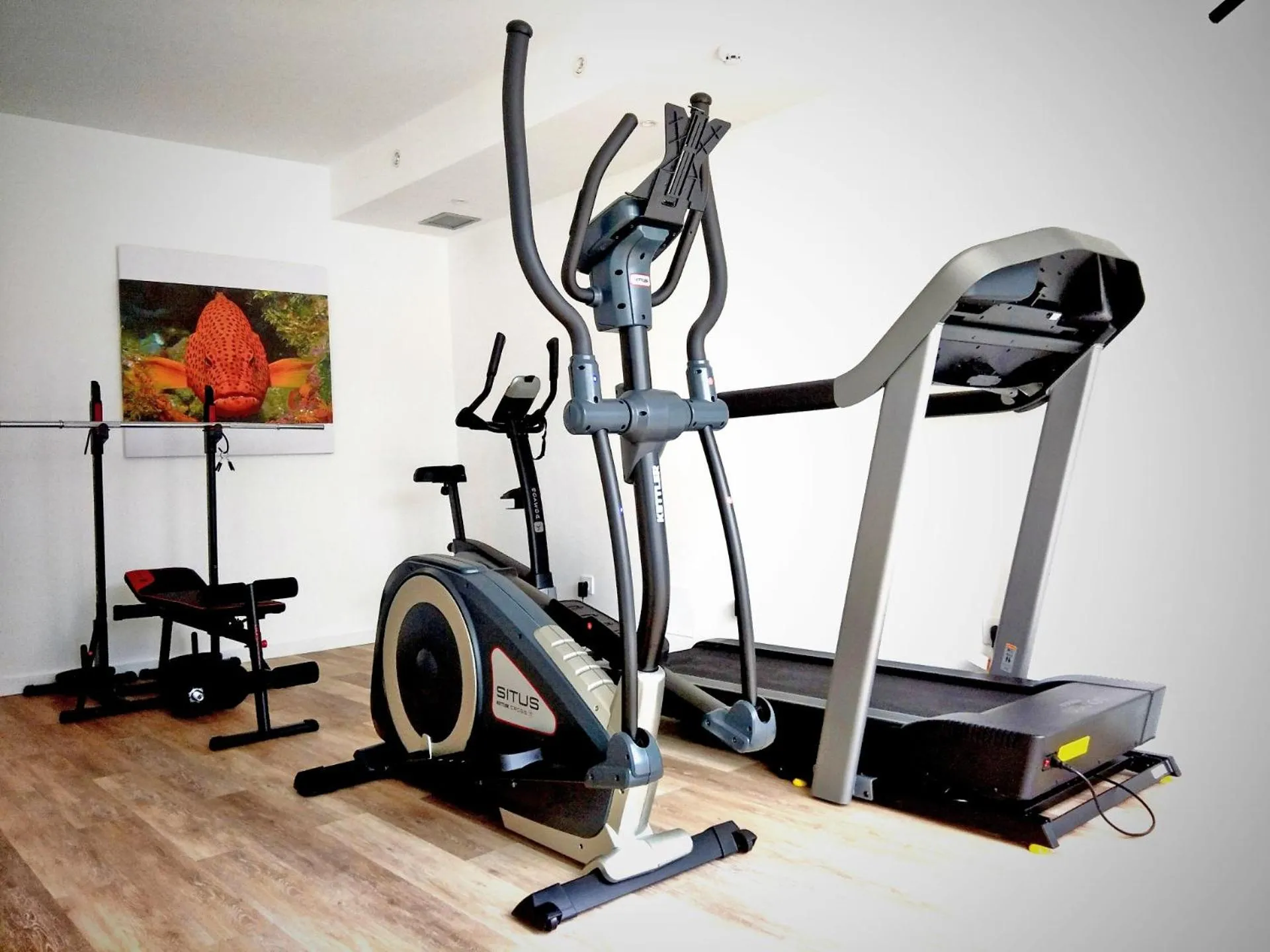 Fitness centre/facilities in Calypso Boutique Apartments - Ceased Trading