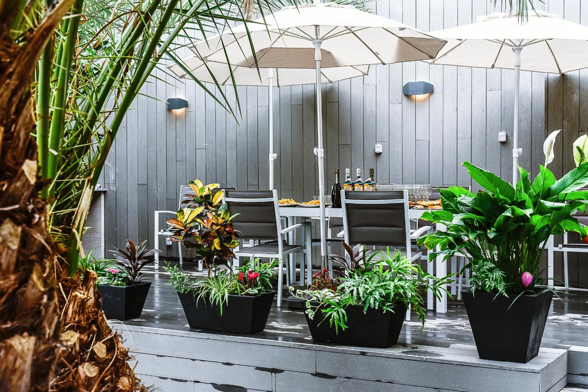 Communal lounge/ TV room in Calypso Boutique Apartments - Ceased Trading