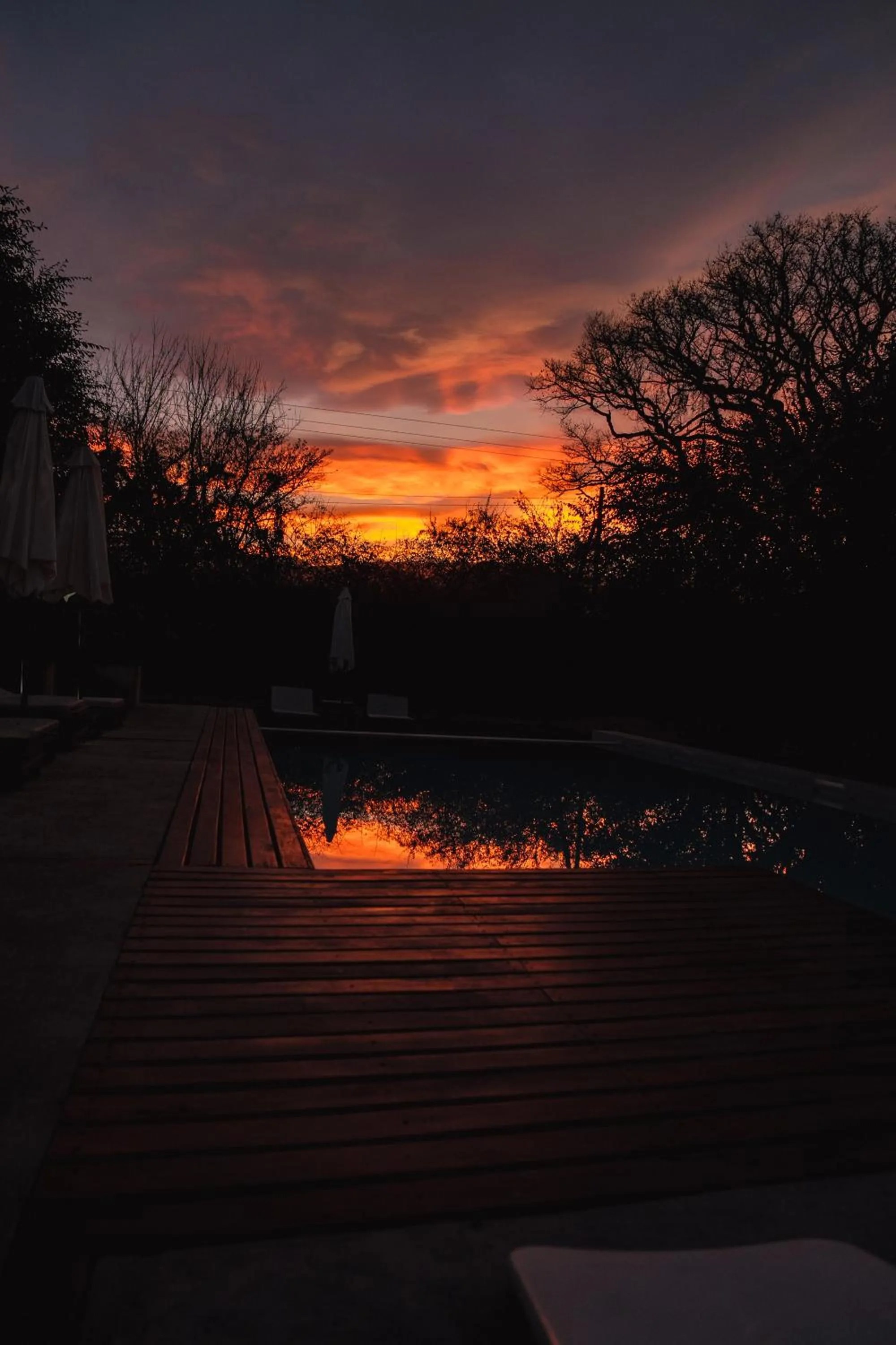 Swimming pool in Finca Valentina