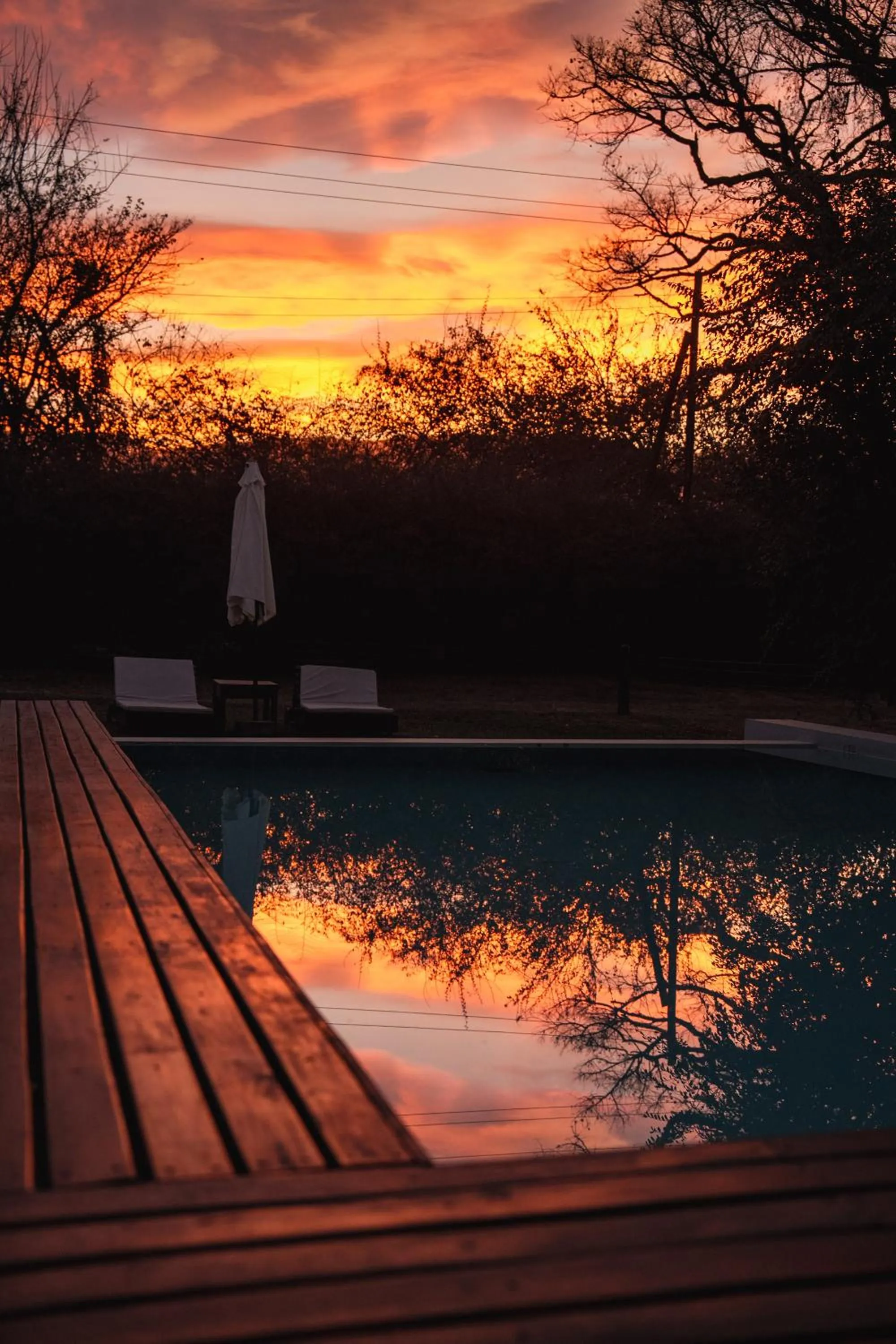 Swimming pool in Finca Valentina