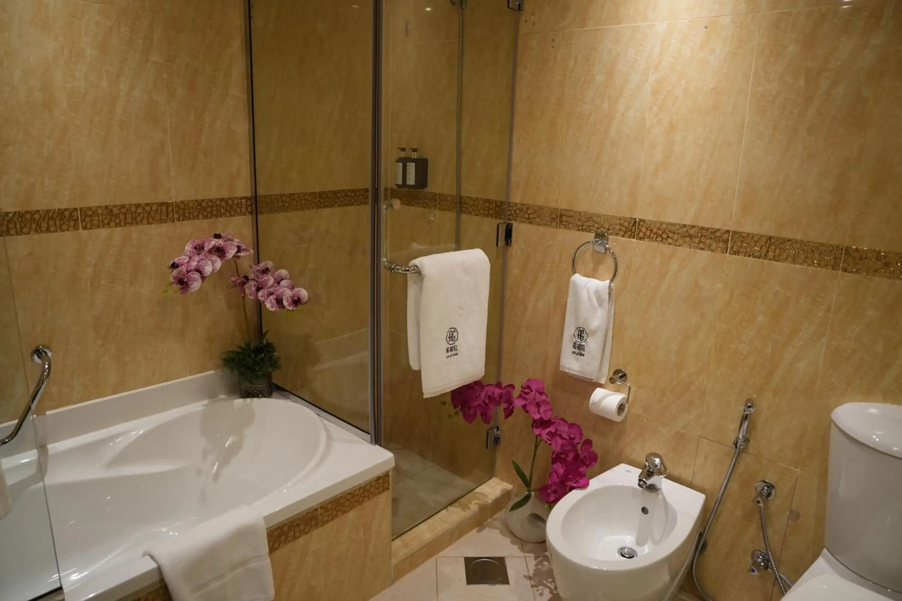 Deluxe Double Room - single occupancy in AG Hotel Deluxe Double Room - single occupancy in AG Hotel