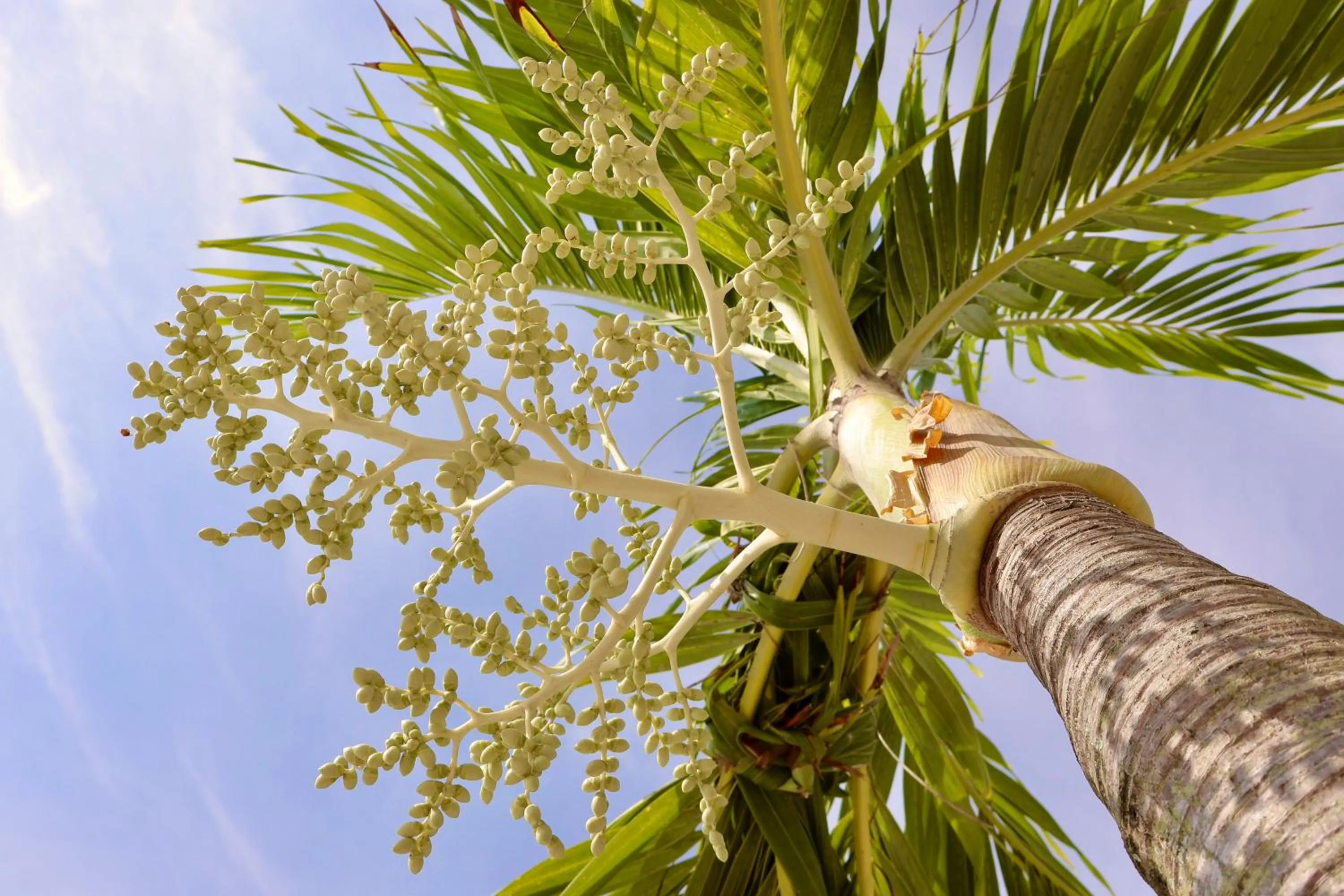 Natural landscape in Seven Secrets by Hanging Gardens