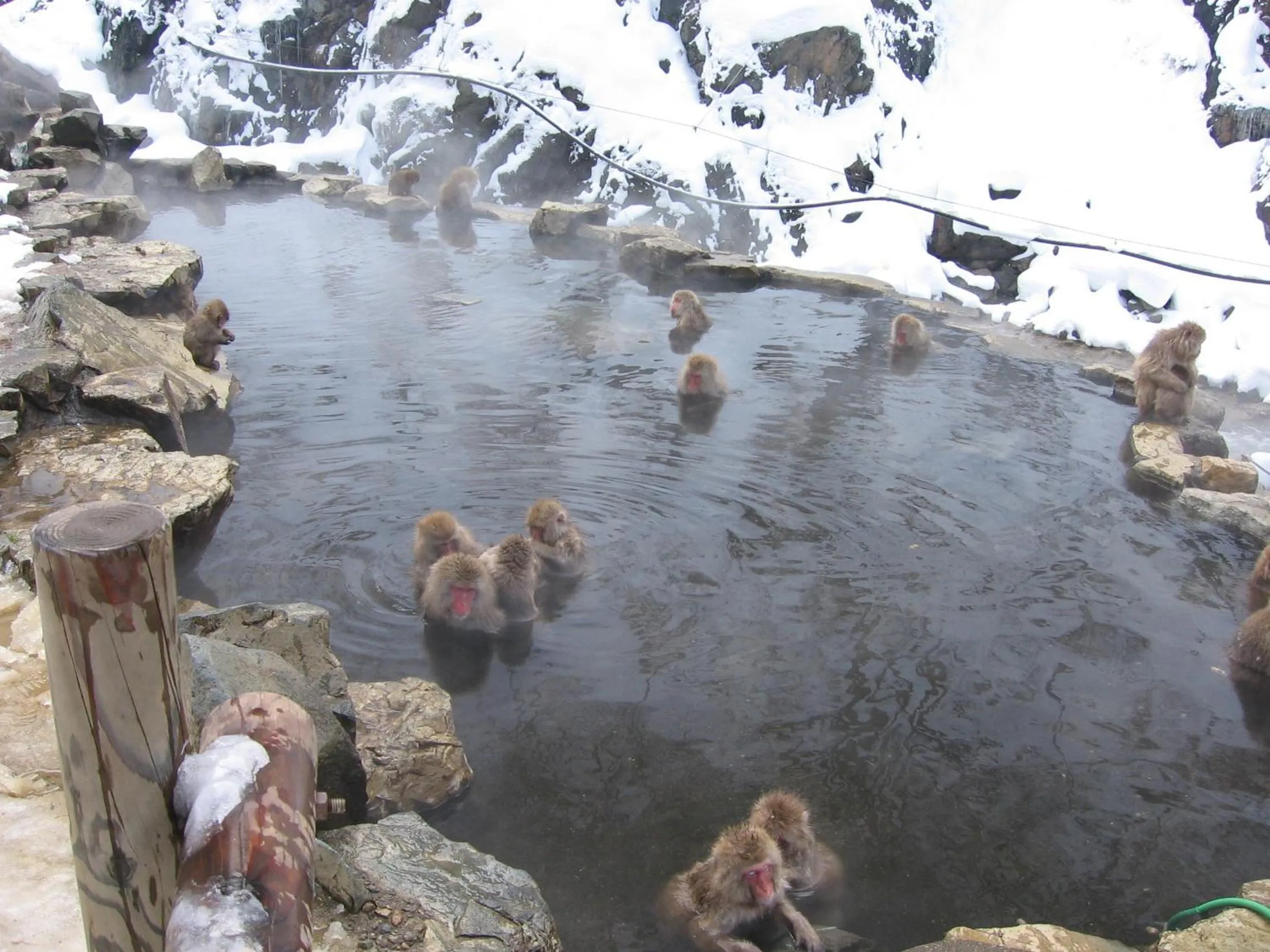 Other in Yudanaka Yasuragi