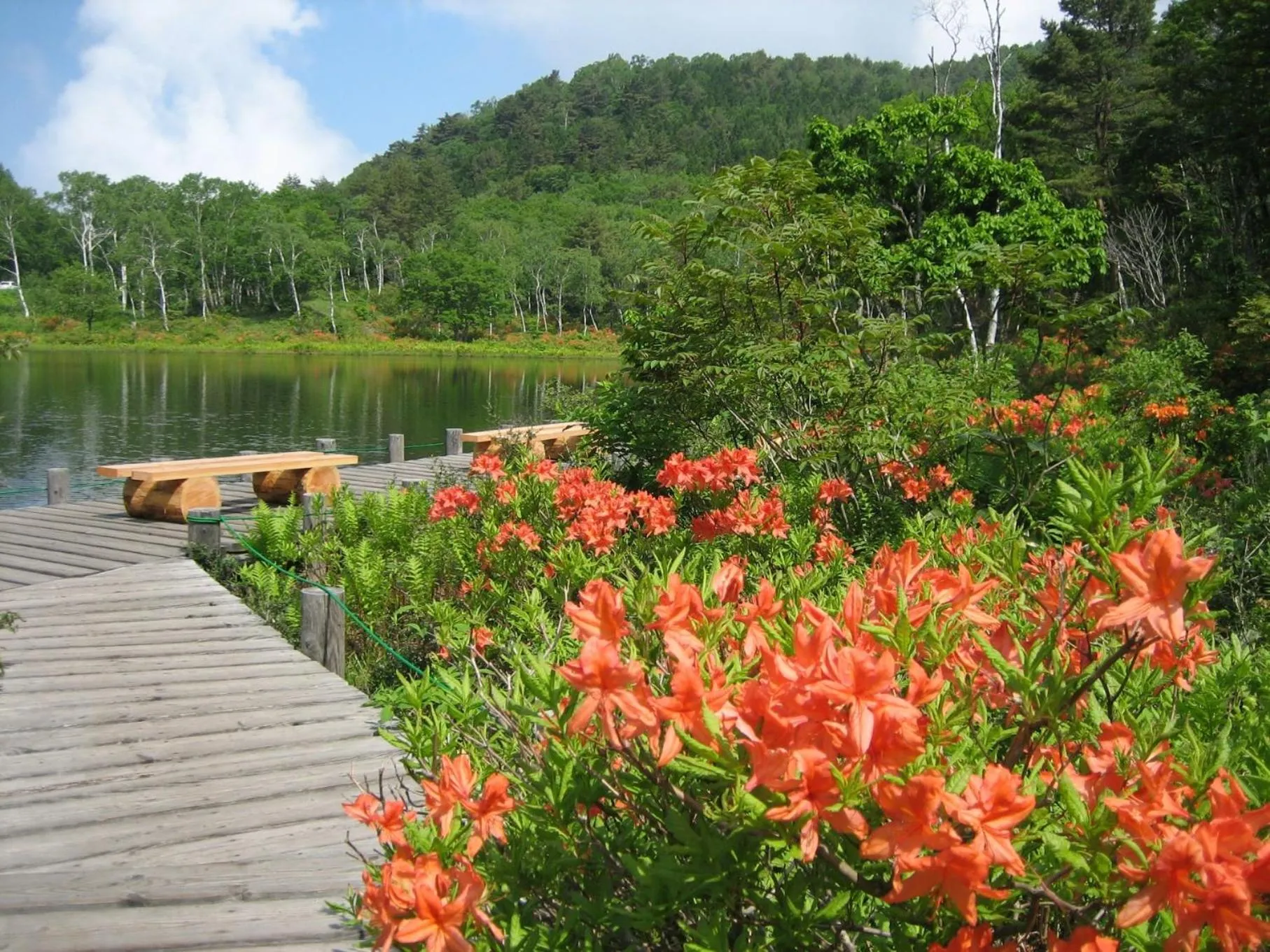 Area and facilities in Yudanaka Yasuragi