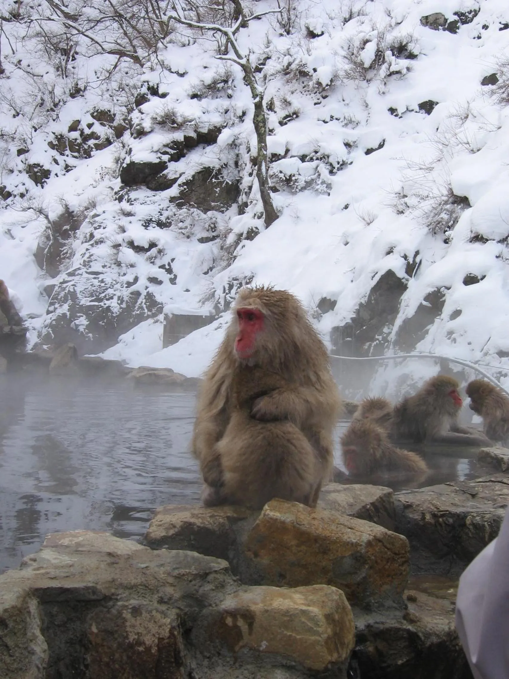 Other in Yudanaka Yasuragi