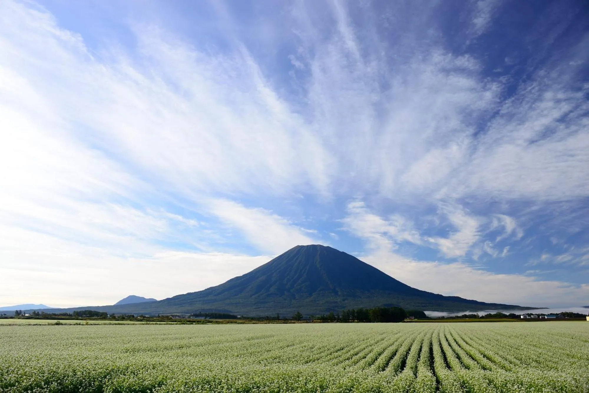 Off site in Niseko Tabi-tsumugi Backpackers