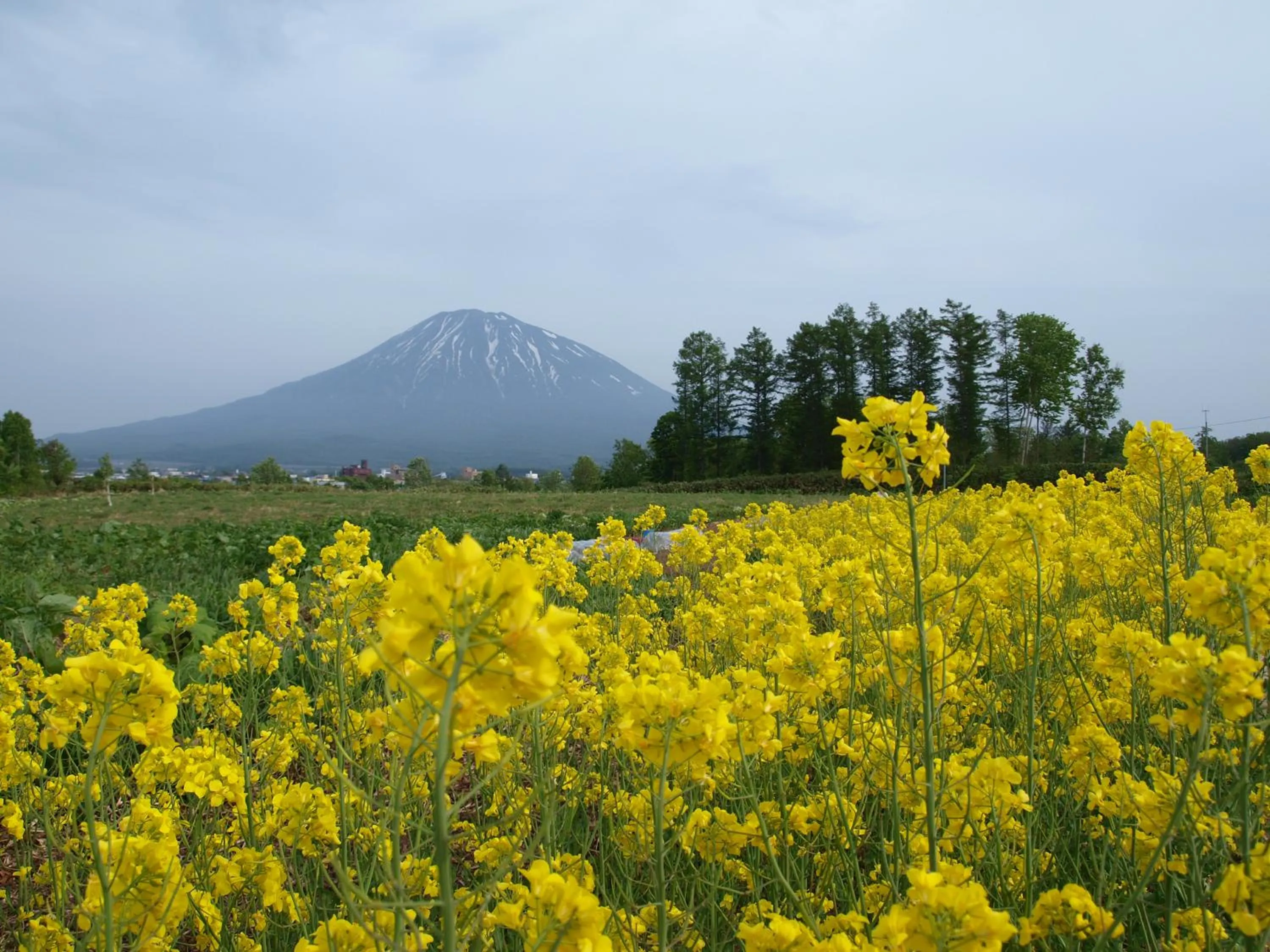 Nearby landmark in Niseko Tabi-tsumugi Backpackers