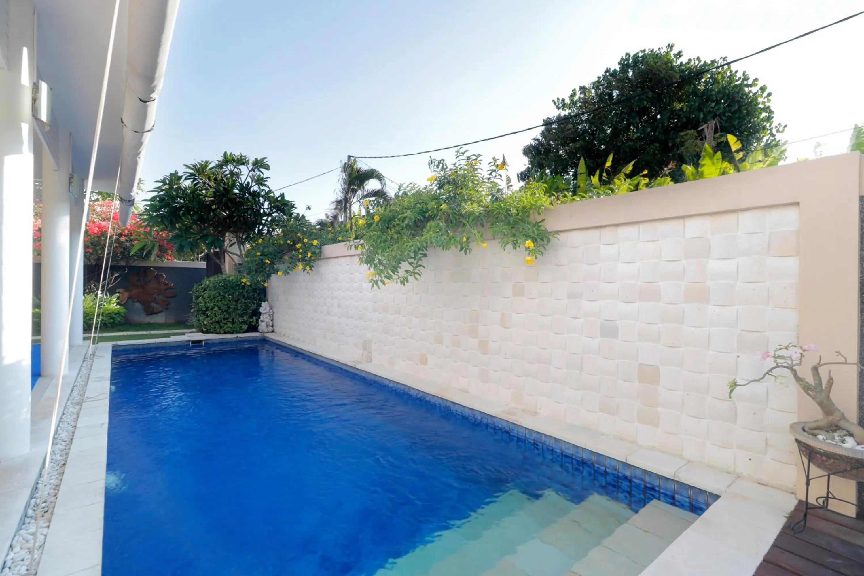 Swimming pool in Heliconia Villa
