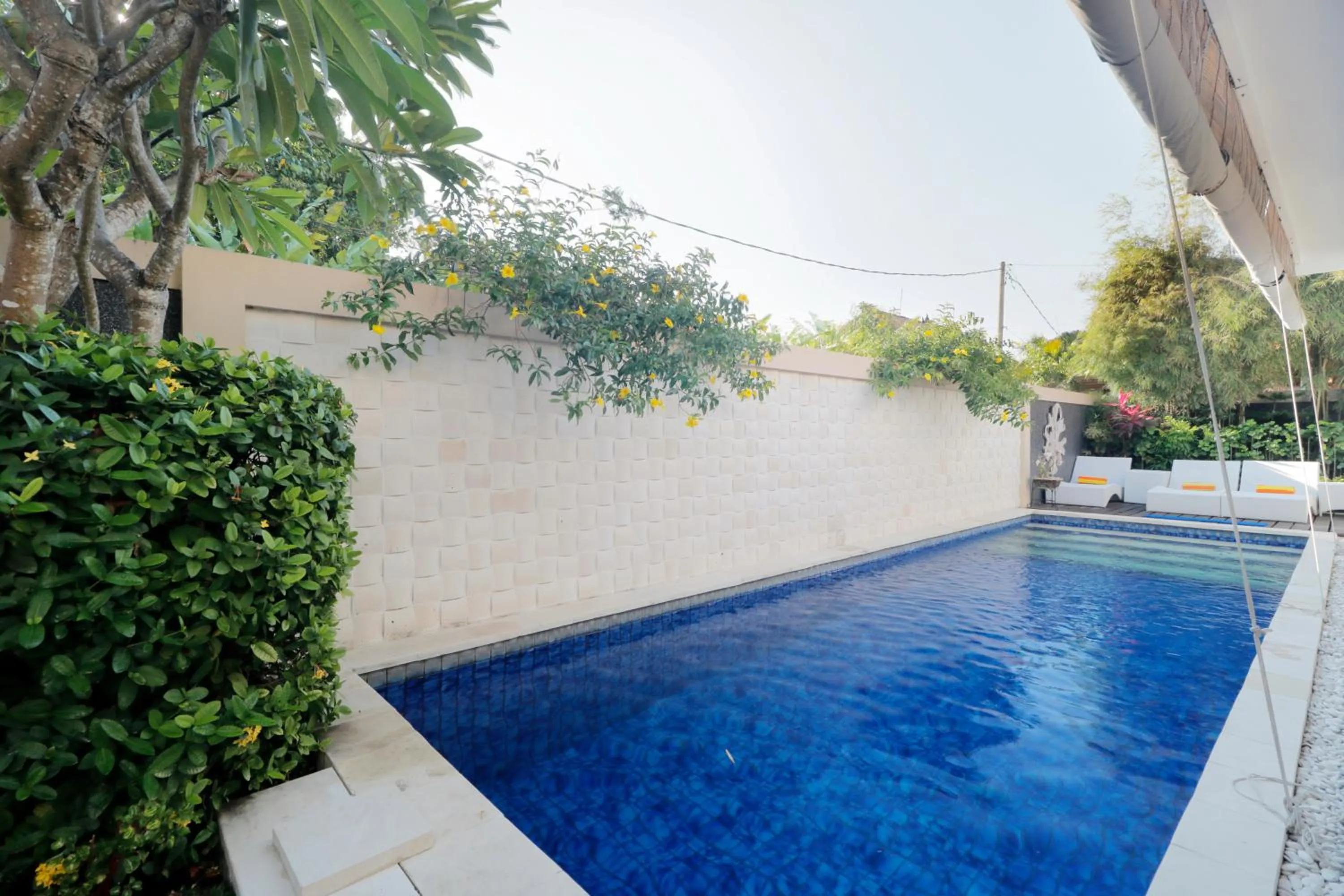 Swimming pool in Heliconia Villa