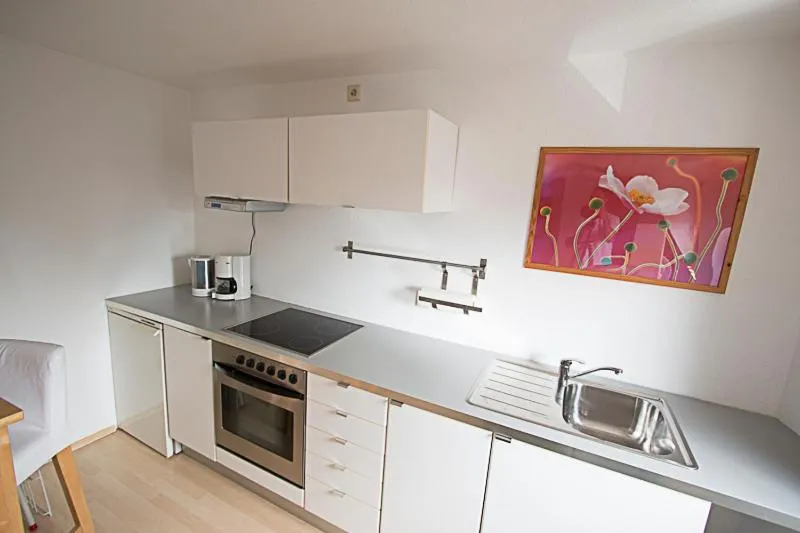 Kitchen or kitchenette in Hotel Weilerhof