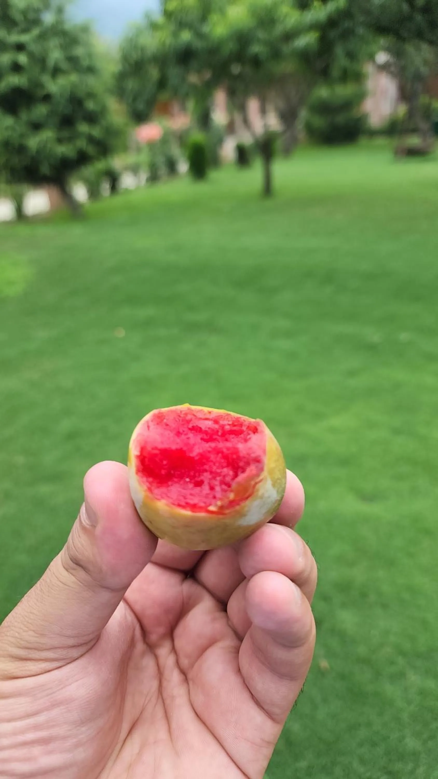 Garden view in The Orchard Retreat & Spa