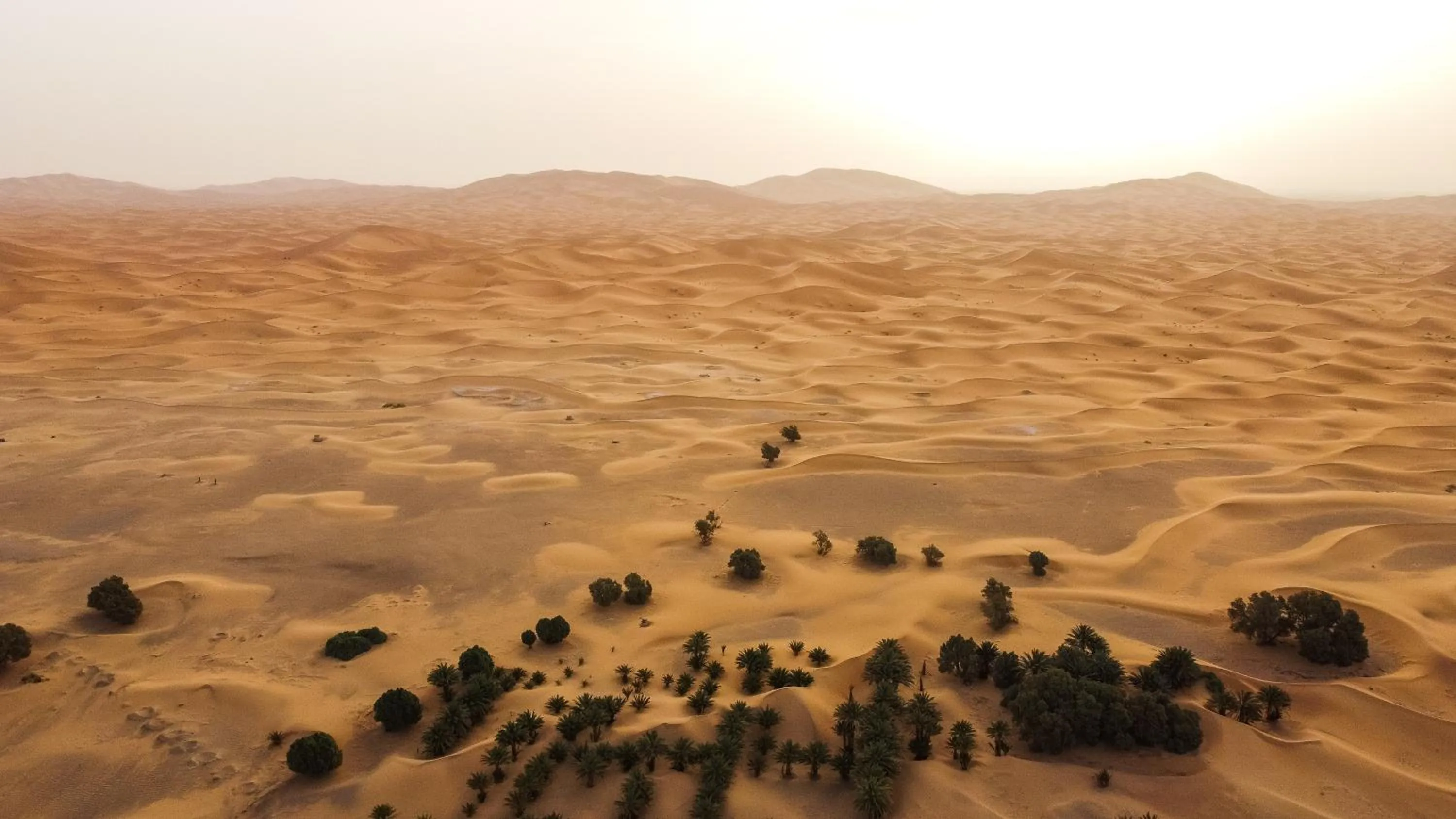 Natural landscape in RiadSuerteloca Merzouga