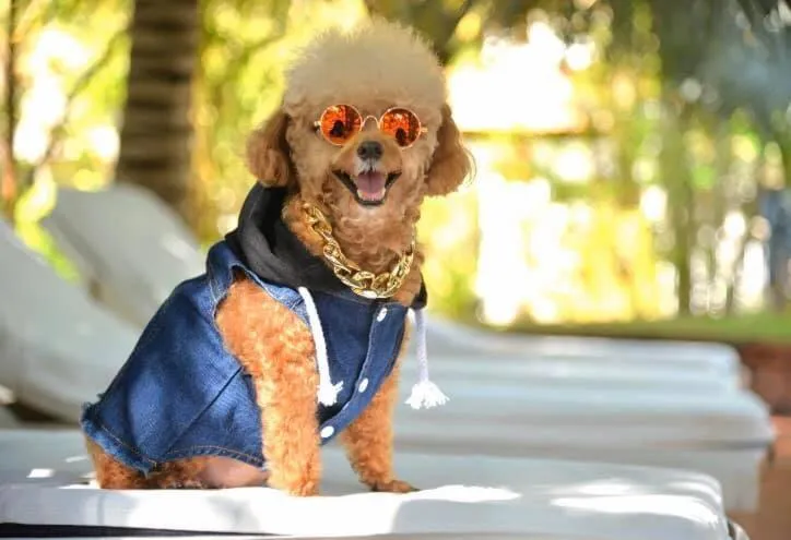 Swimming pool in Full Moon Village Resort