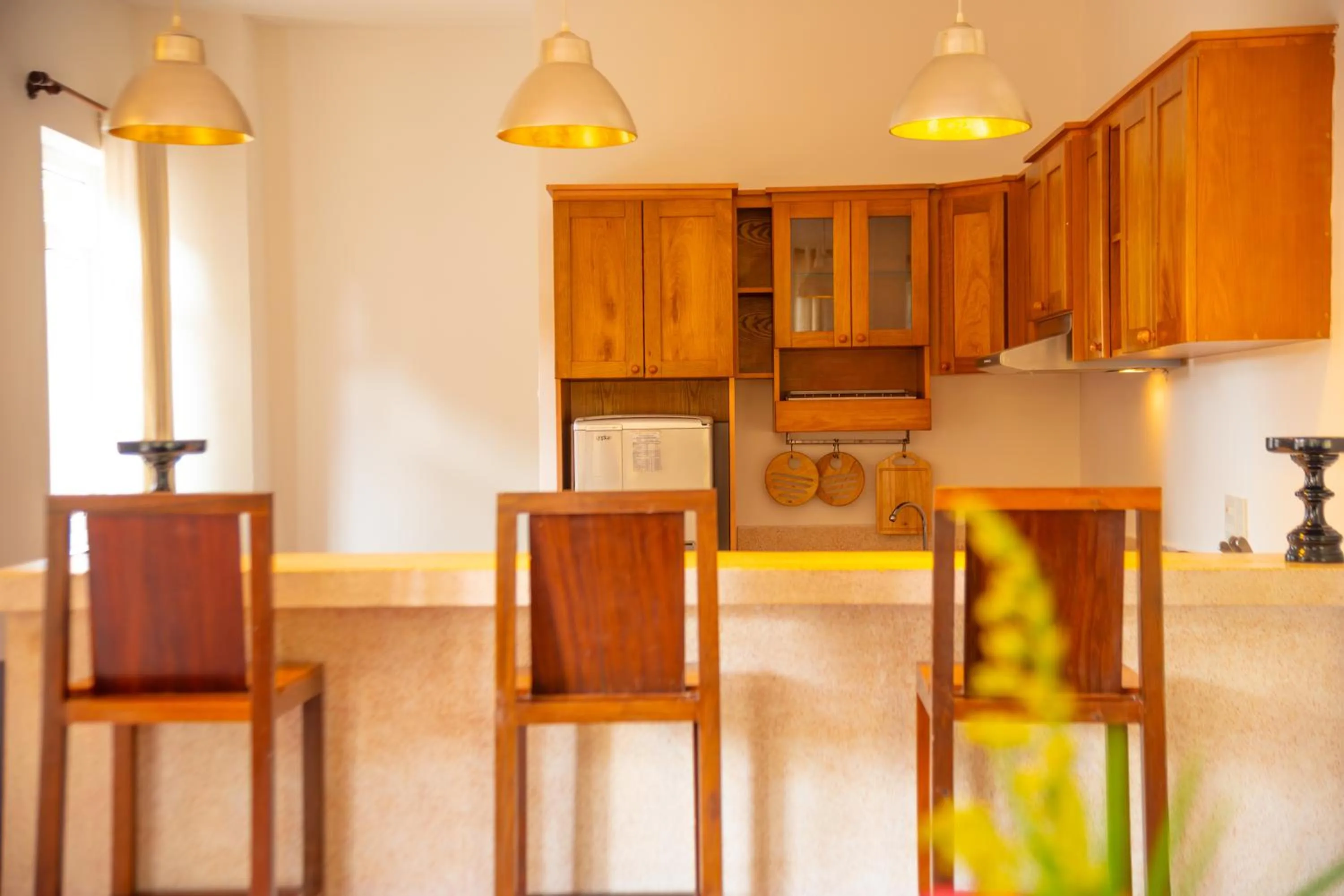 Kitchen or kitchenette in Full Moon Village Resort