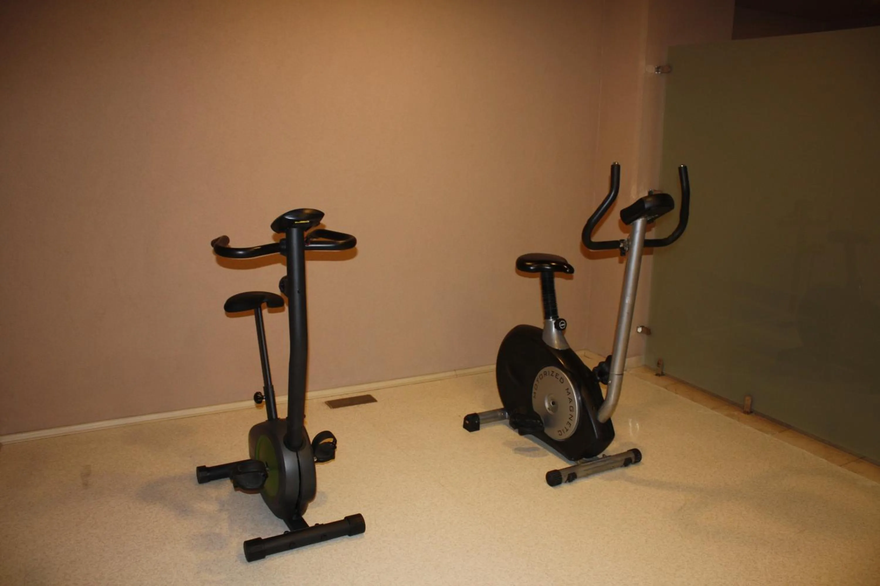 Fitness centre/facilities in Hotel Osaka Airport