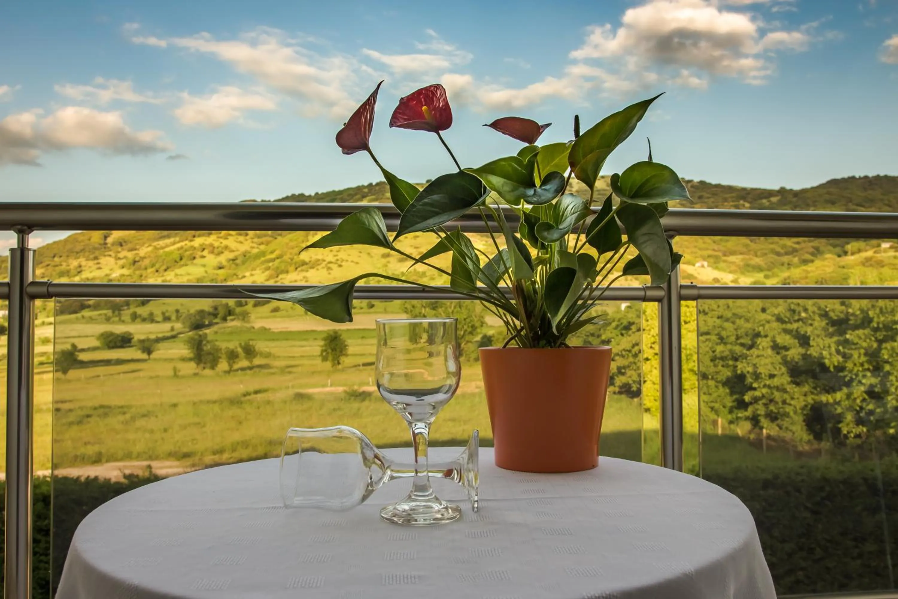 Garden view in Giotis Boutique Hotel