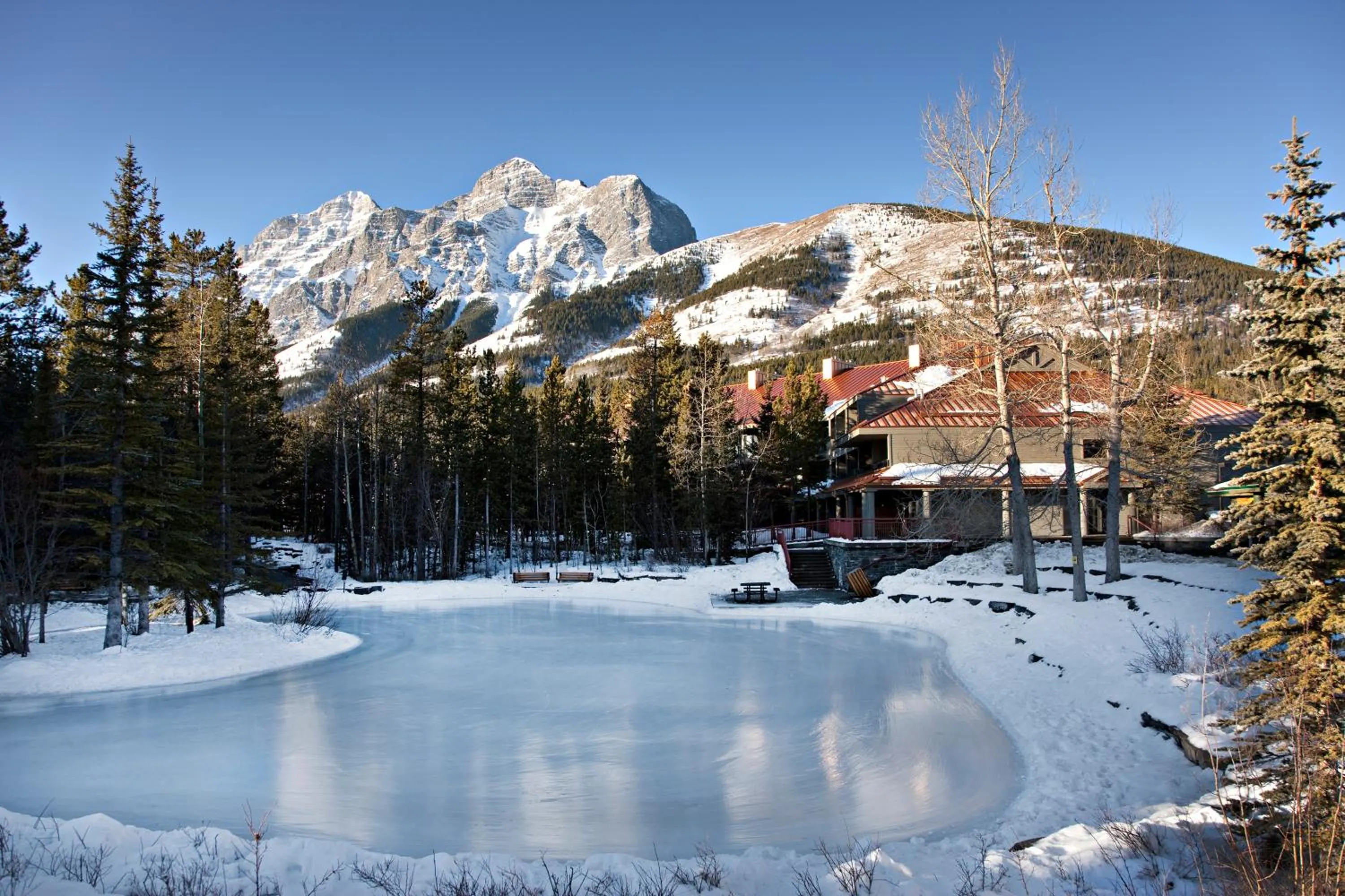 Garden, Winter in Crosswaters Resort at Kananaskis