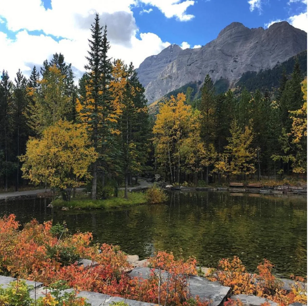 Natural Landscape in Crosswaters Resort at Kananaskis