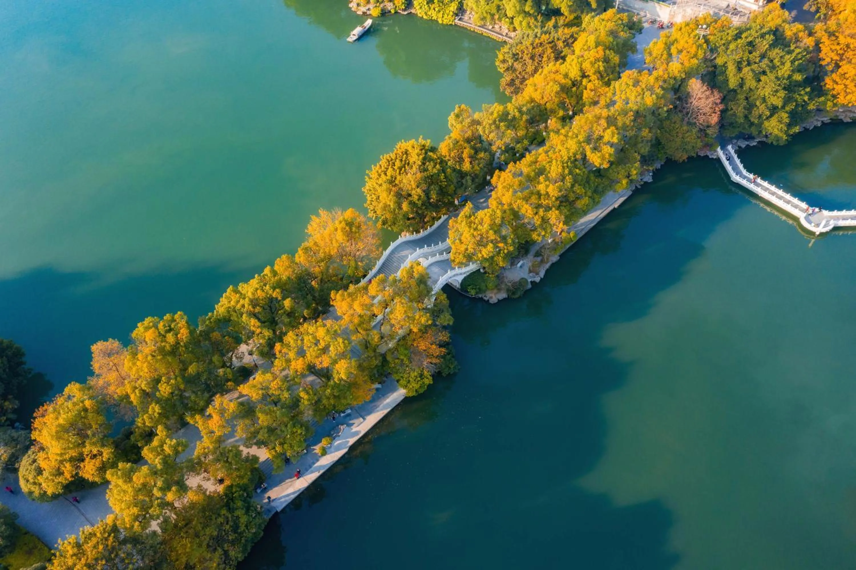Natural landscape in Aroma Tea House
