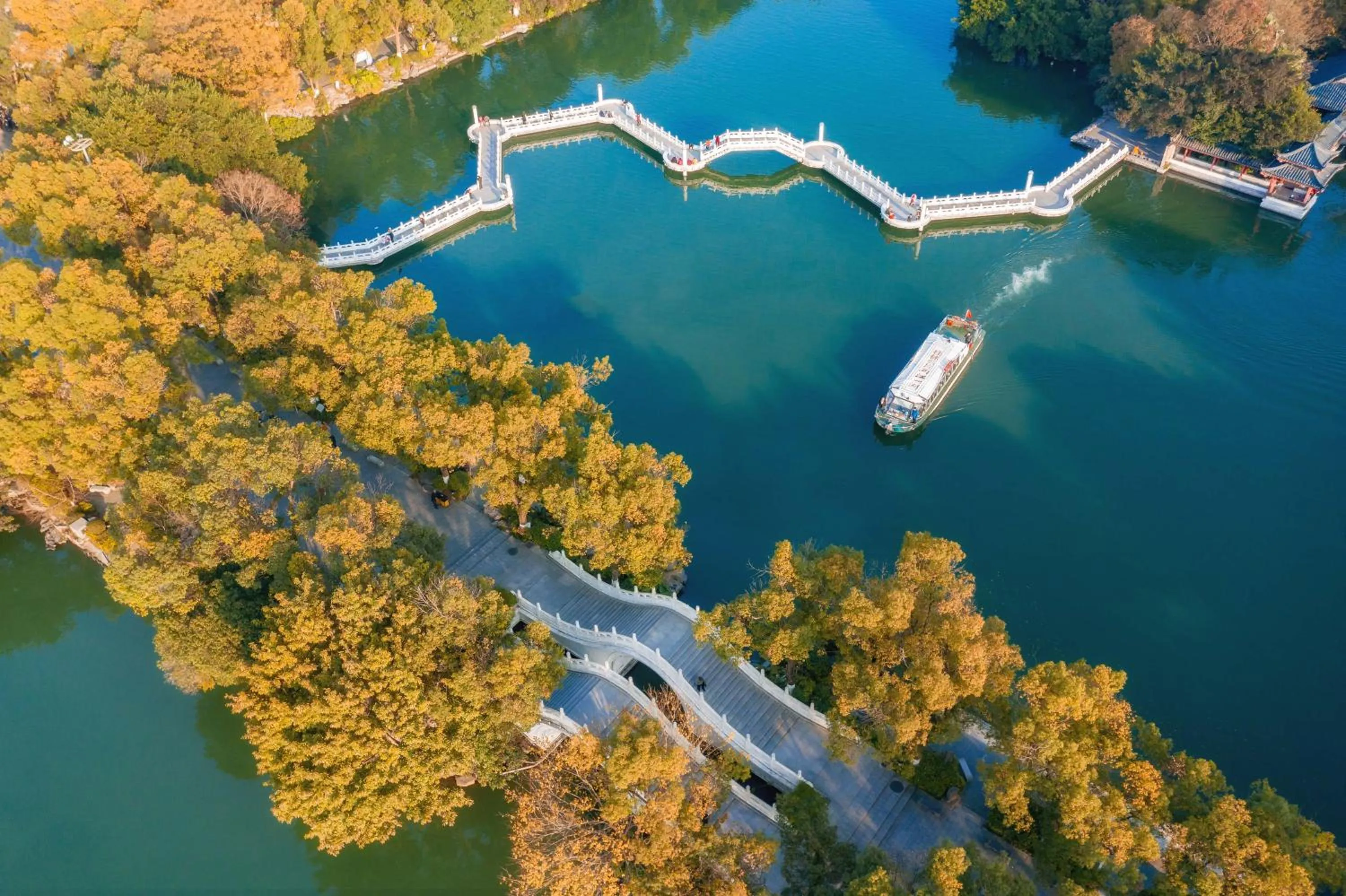 Neighbourhood in Aroma Tea House