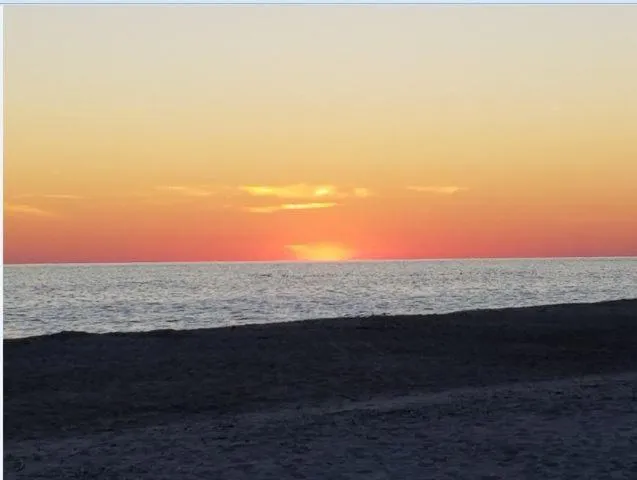 Beach in donovan"s Reef