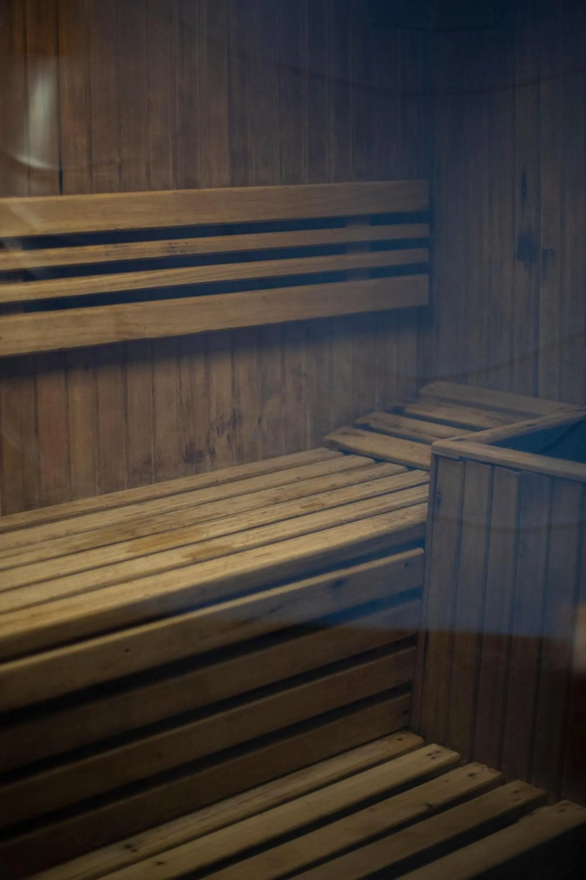 Sauna in Hotel Spa La Terrassa
