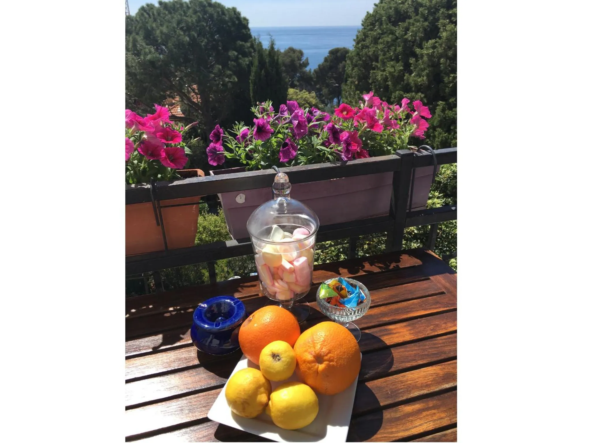 Balcony/Terrace in Hotel Normandy