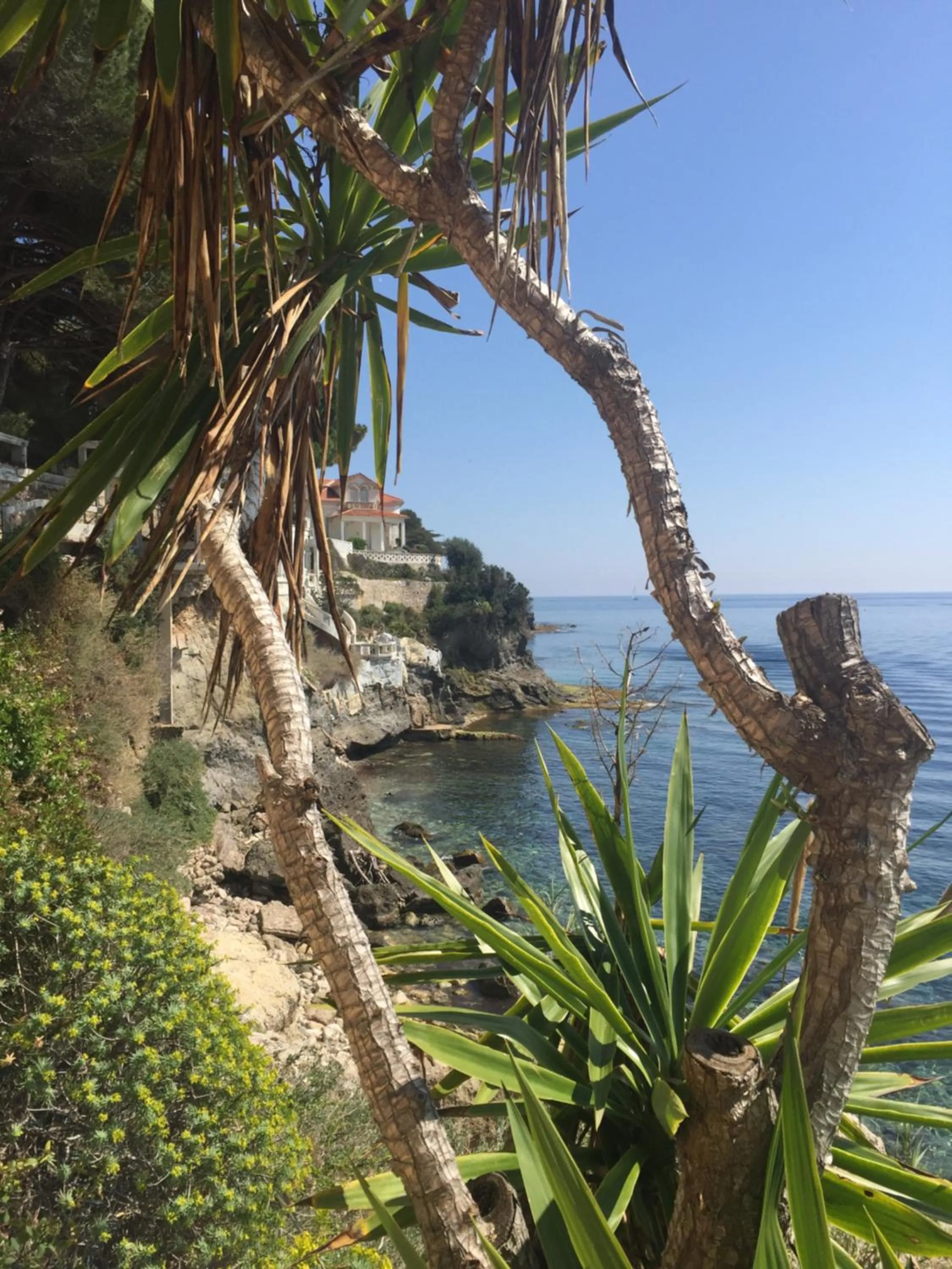 Neighbourhood in Hotel Normandy