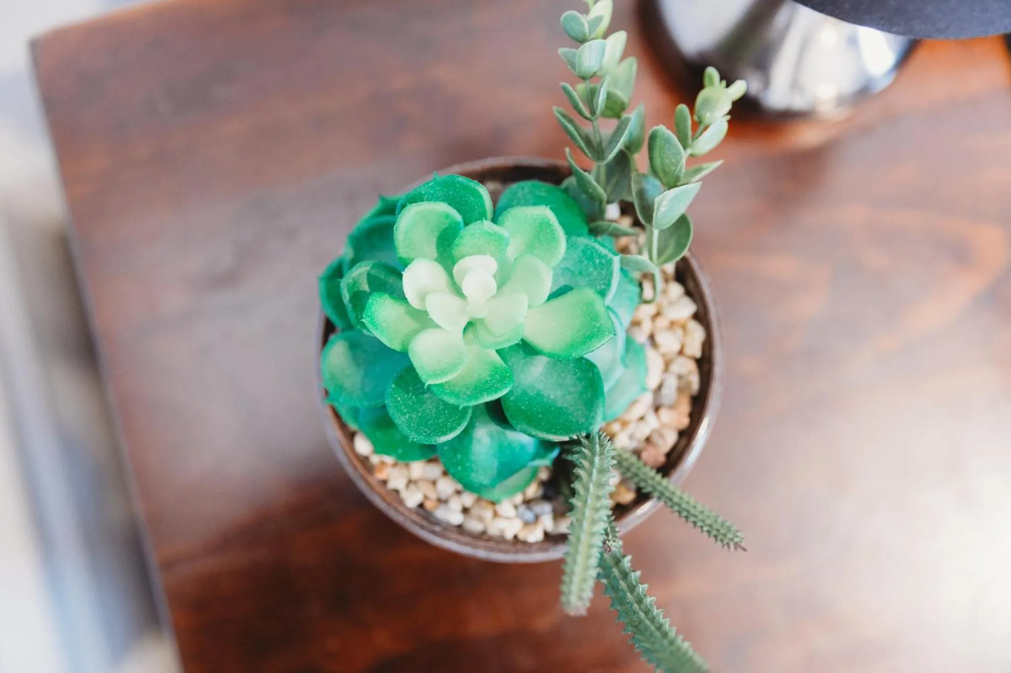 Talisman Hotel & Restaurant