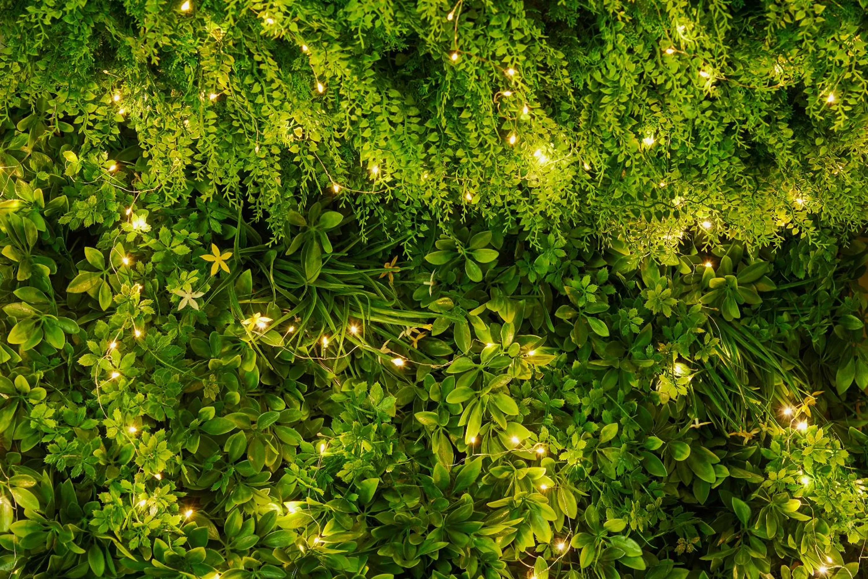 Hotel Spa Les Saules