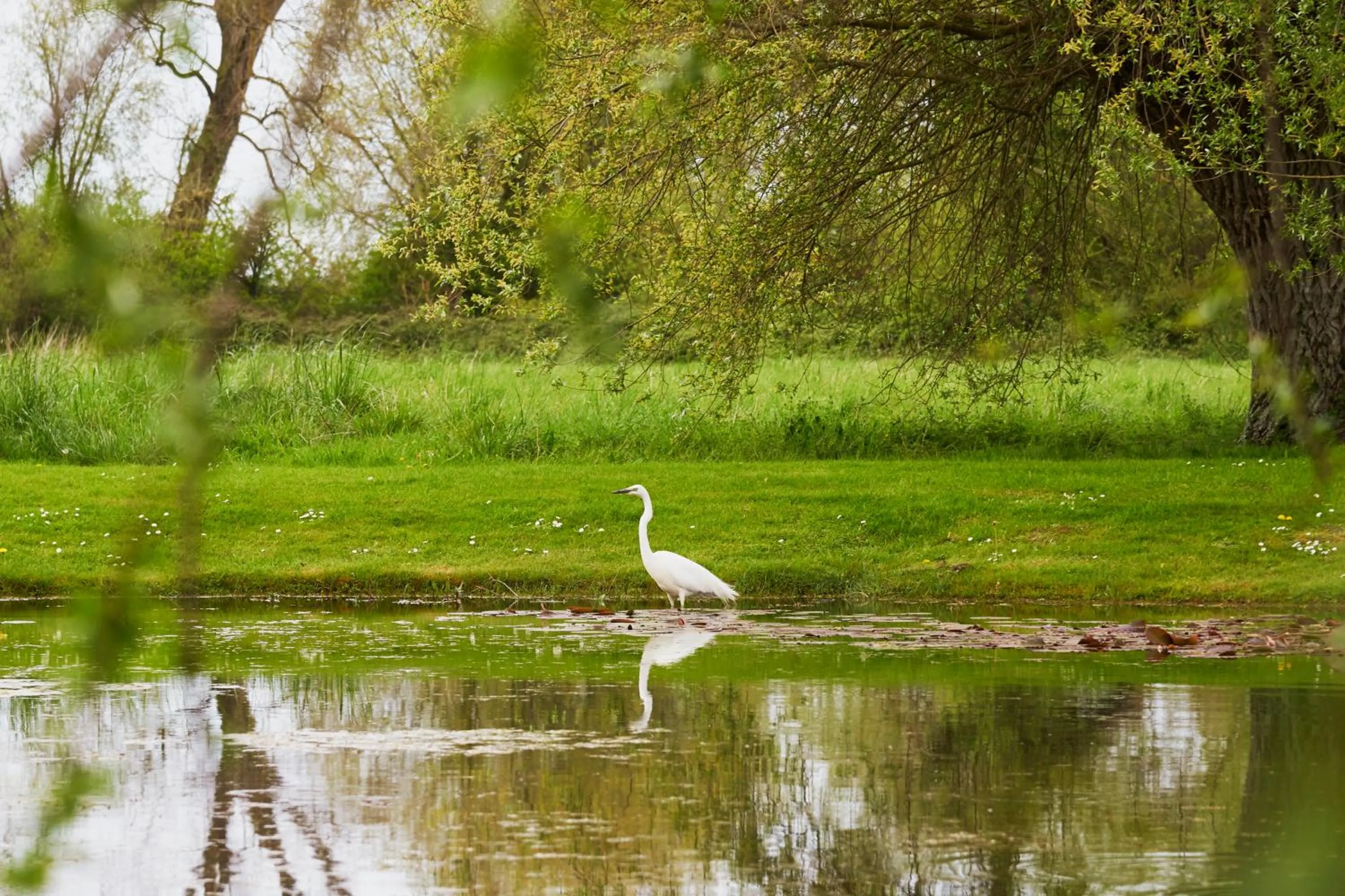 Hotel Spa Les Saules