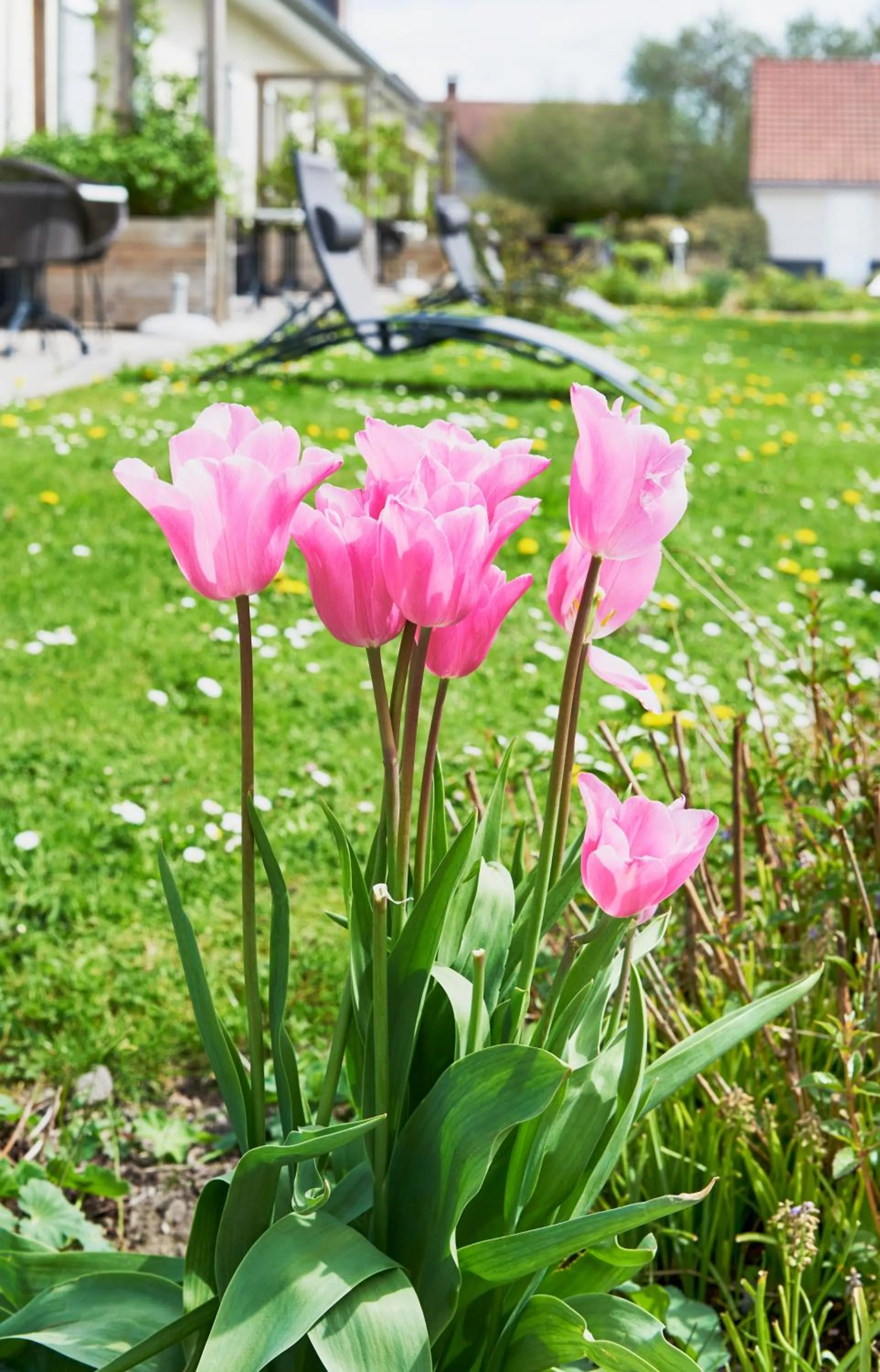Hotel Spa Les Saules