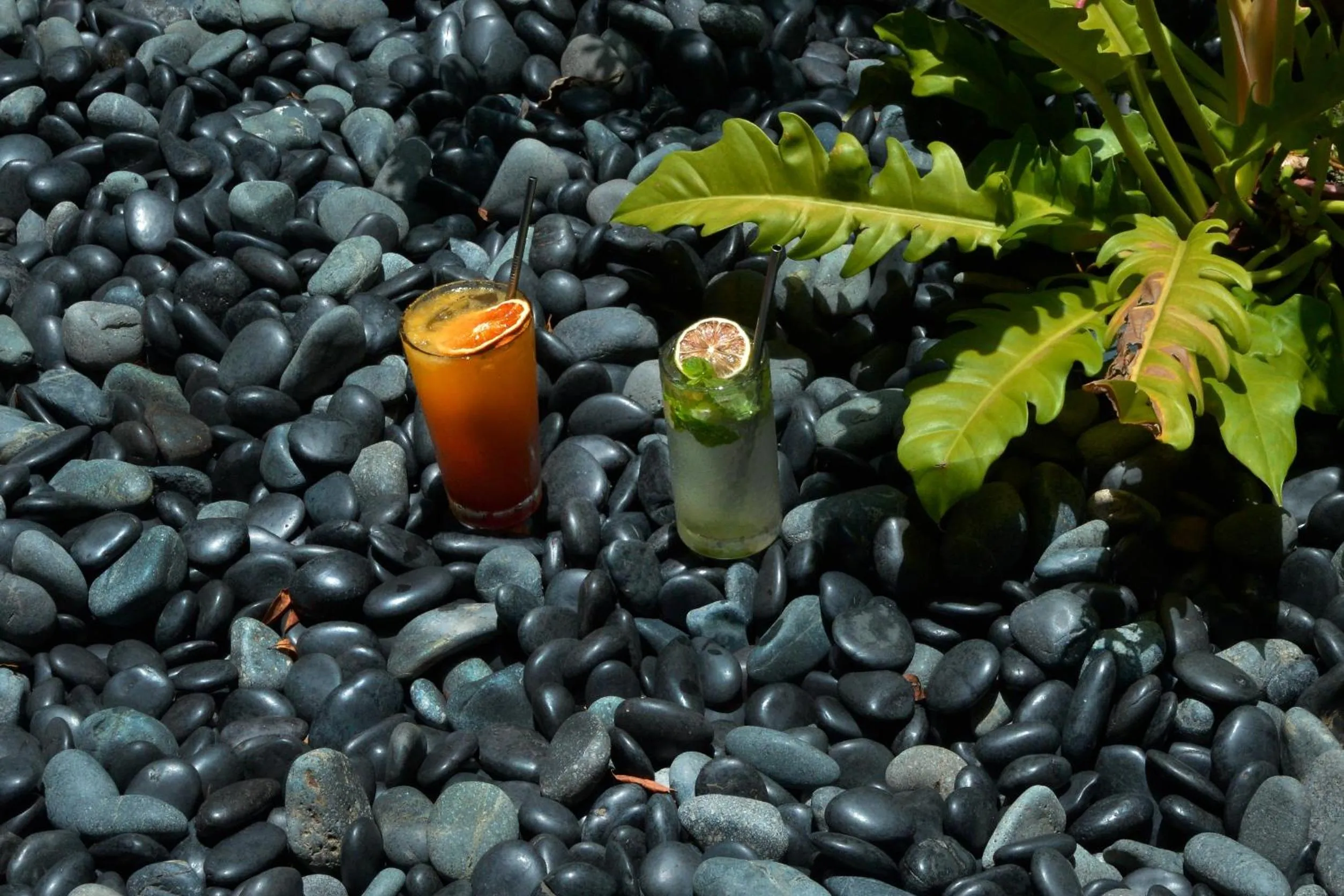 Lounge or bar in SOF Hotel