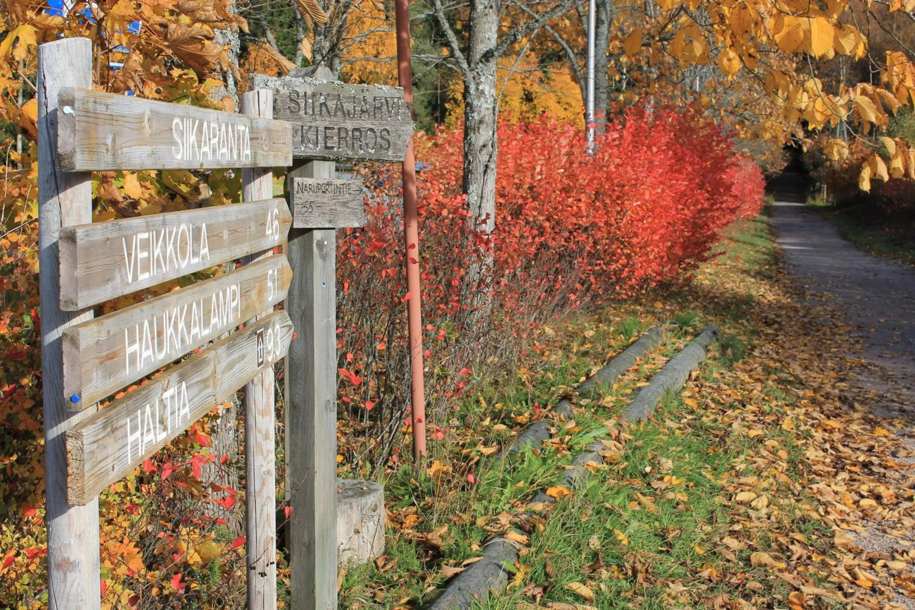 Hiking in Hotel Nuuksio - Conferences and events