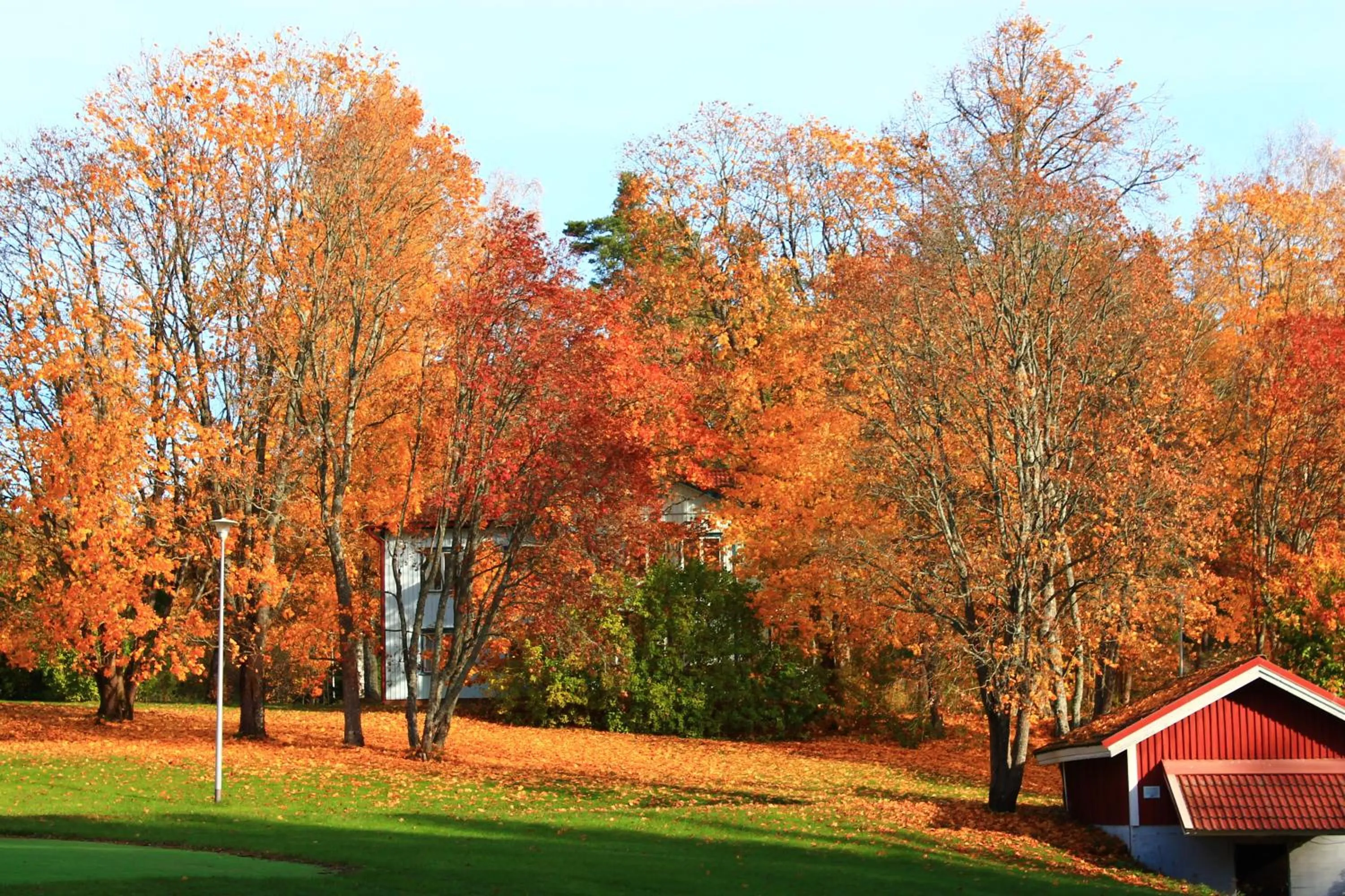 Autumn in Hotel Nuuksio - Conferences and events