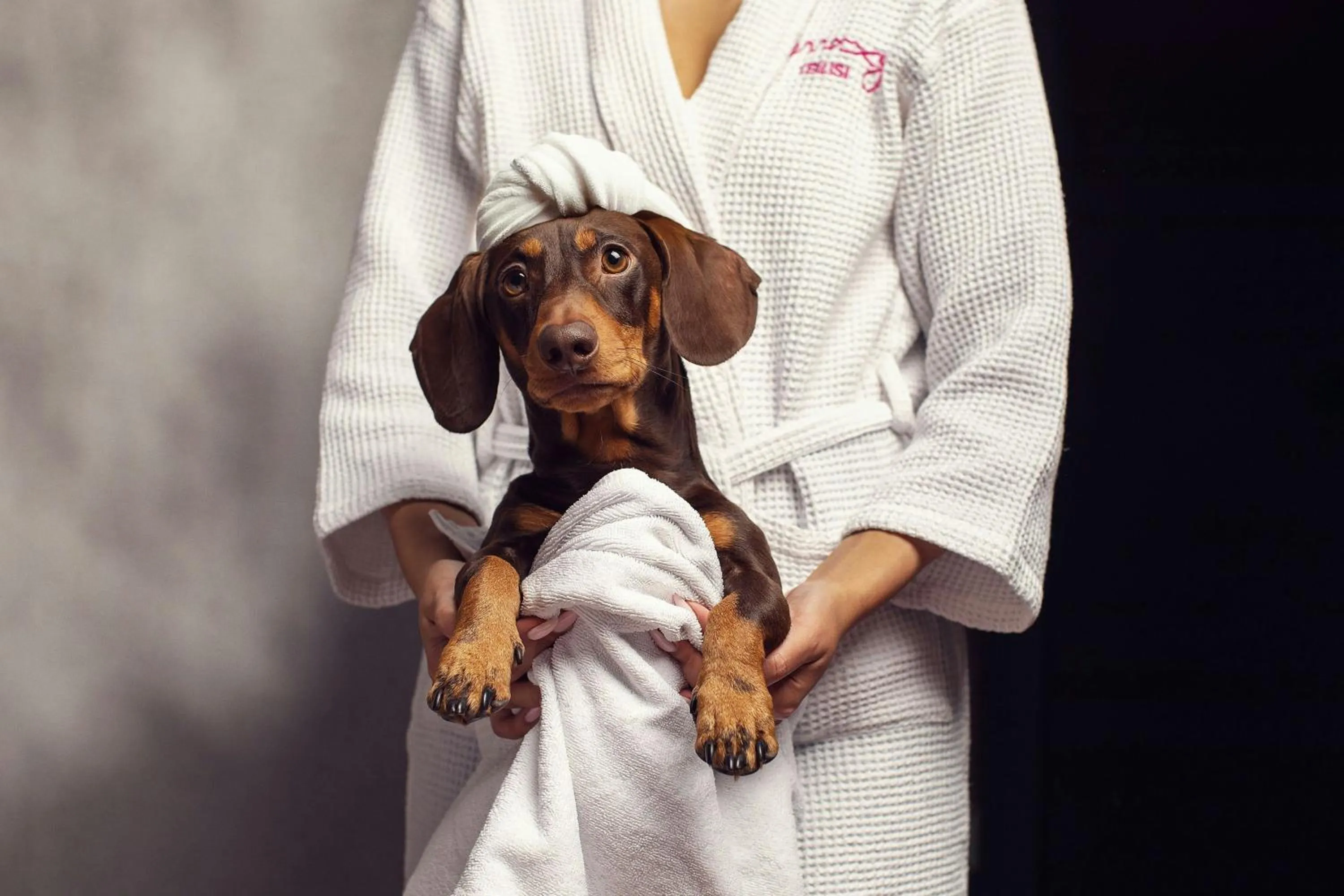 Other in Moxy Tbilisi