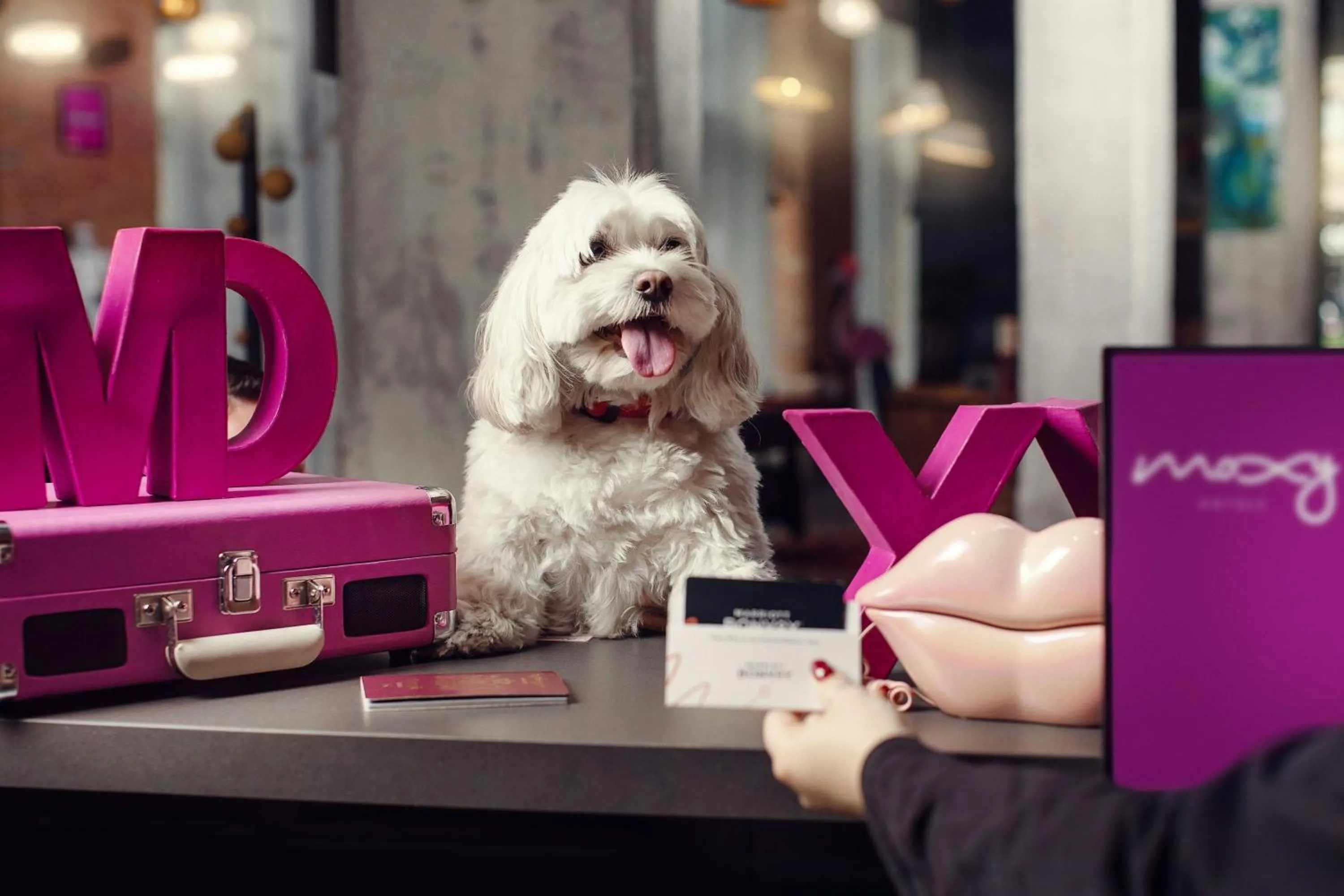 Other in Moxy Tbilisi