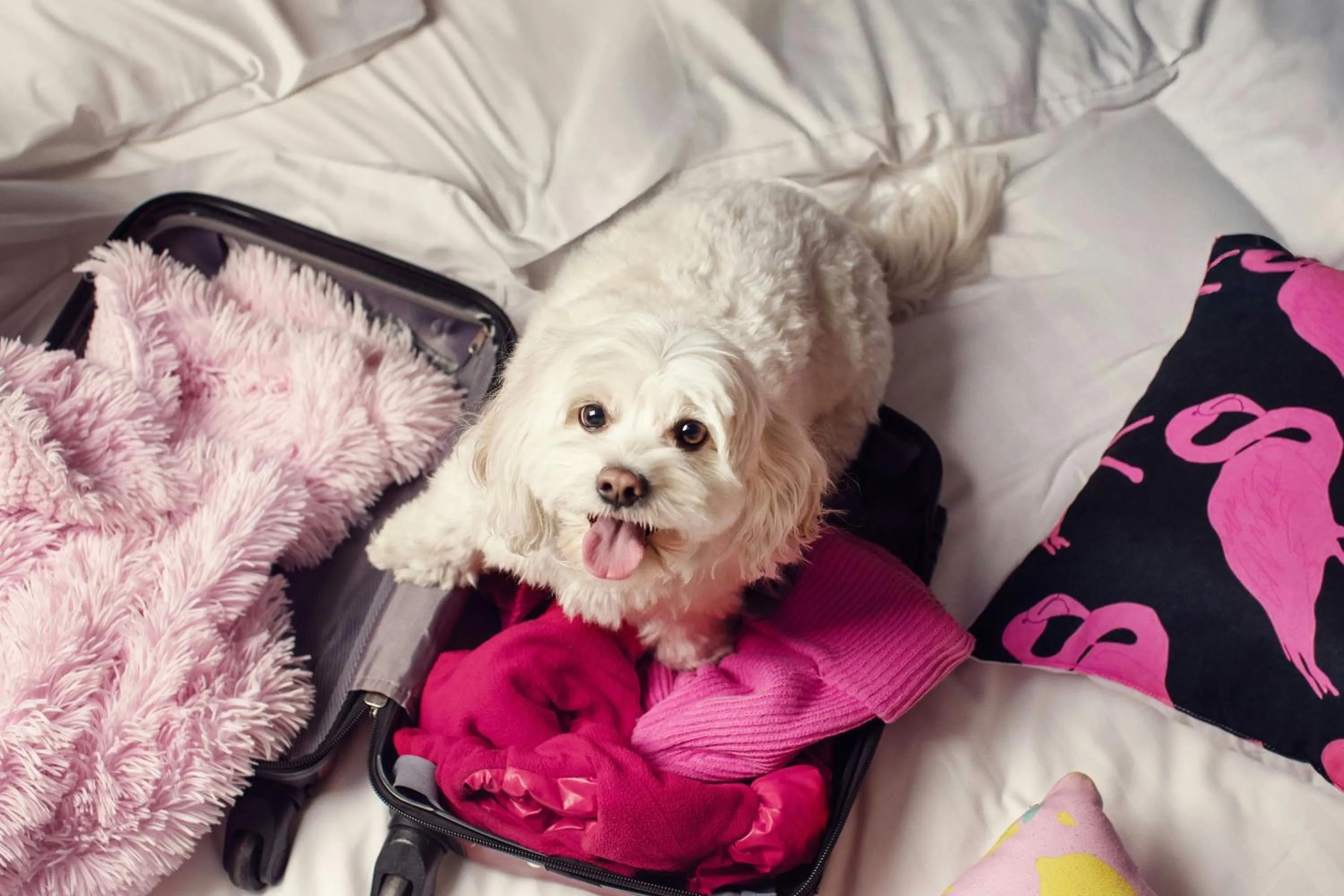 Other in Moxy Tbilisi