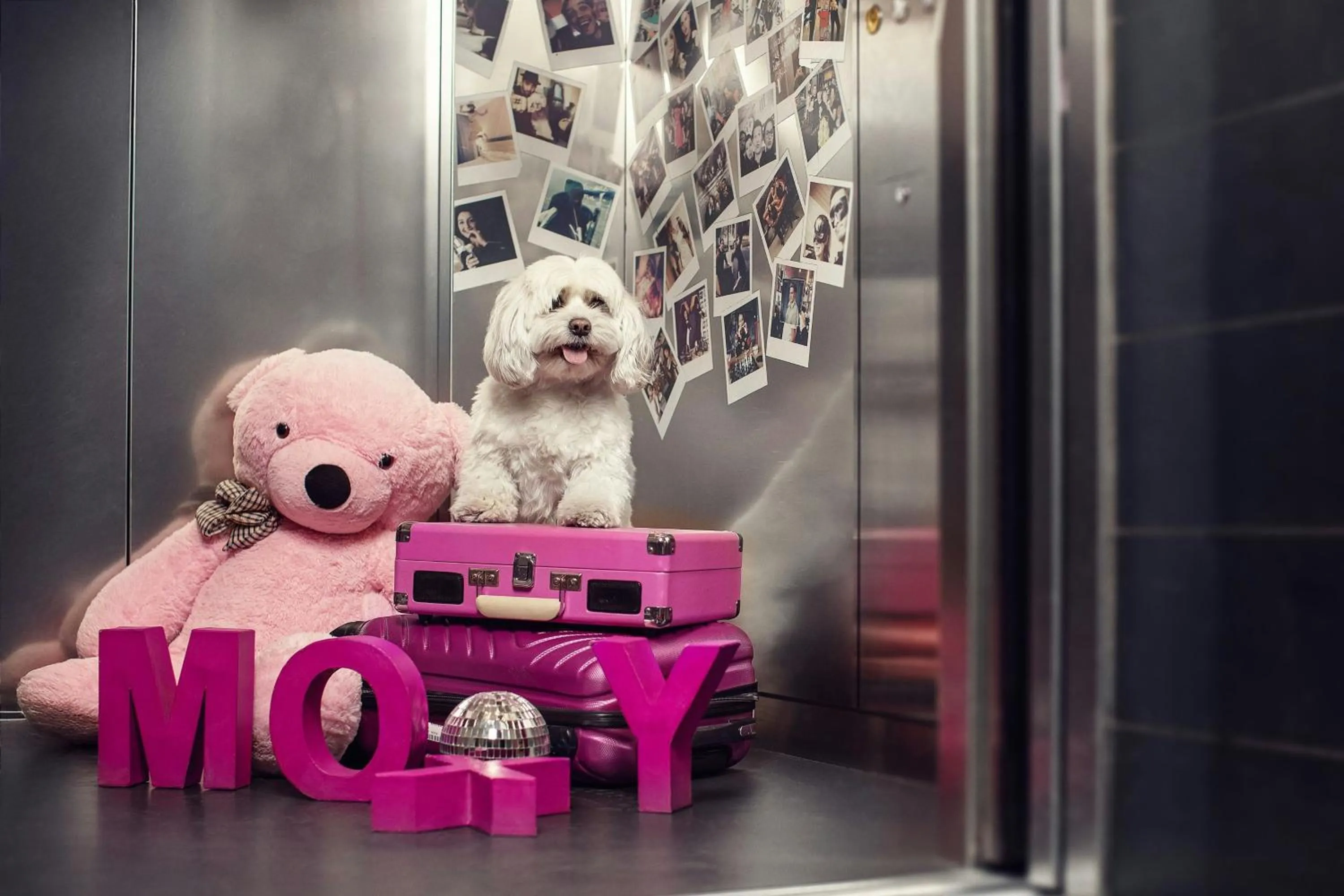 Other in Moxy Tbilisi