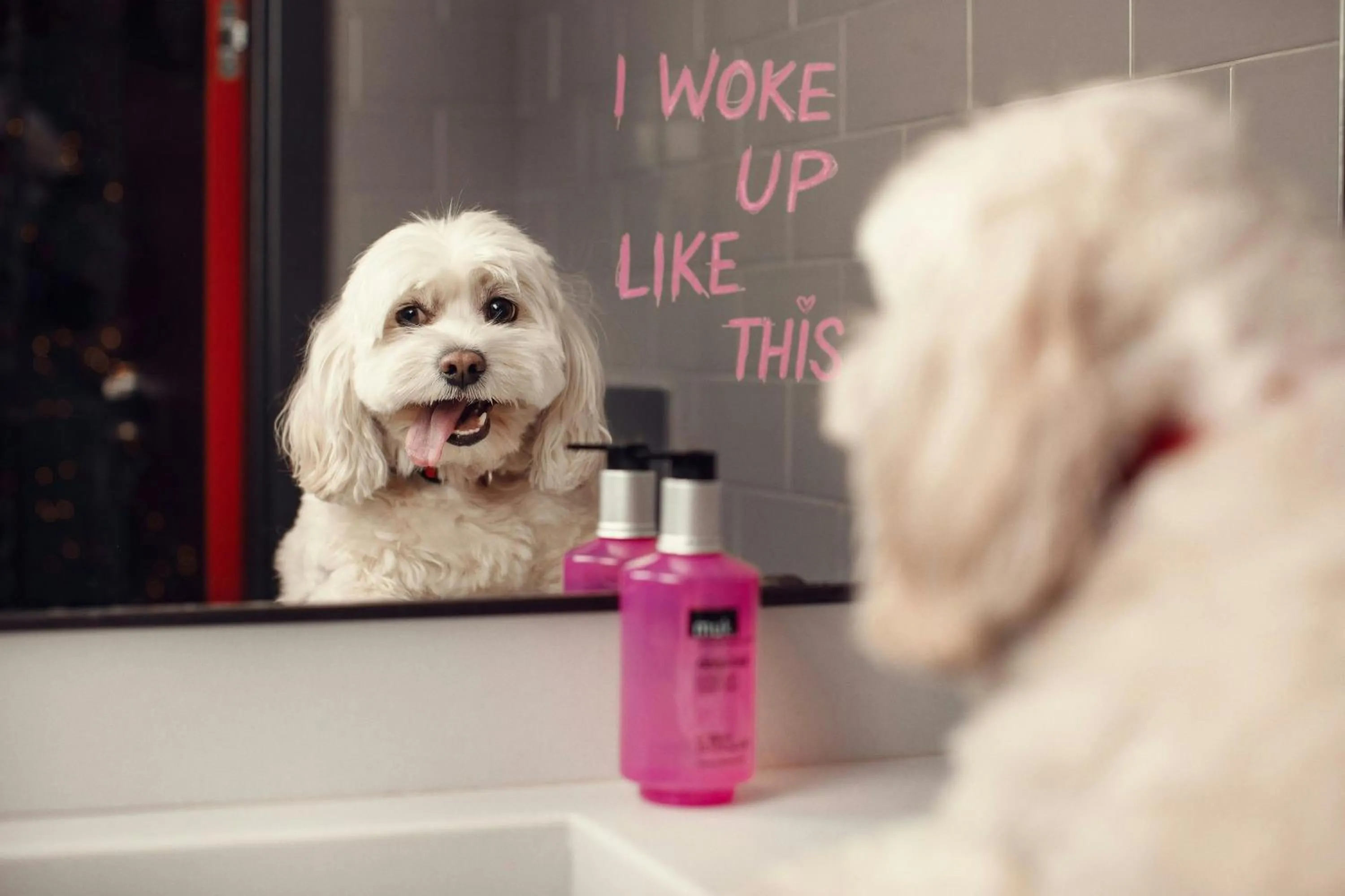 Other in Moxy Tbilisi