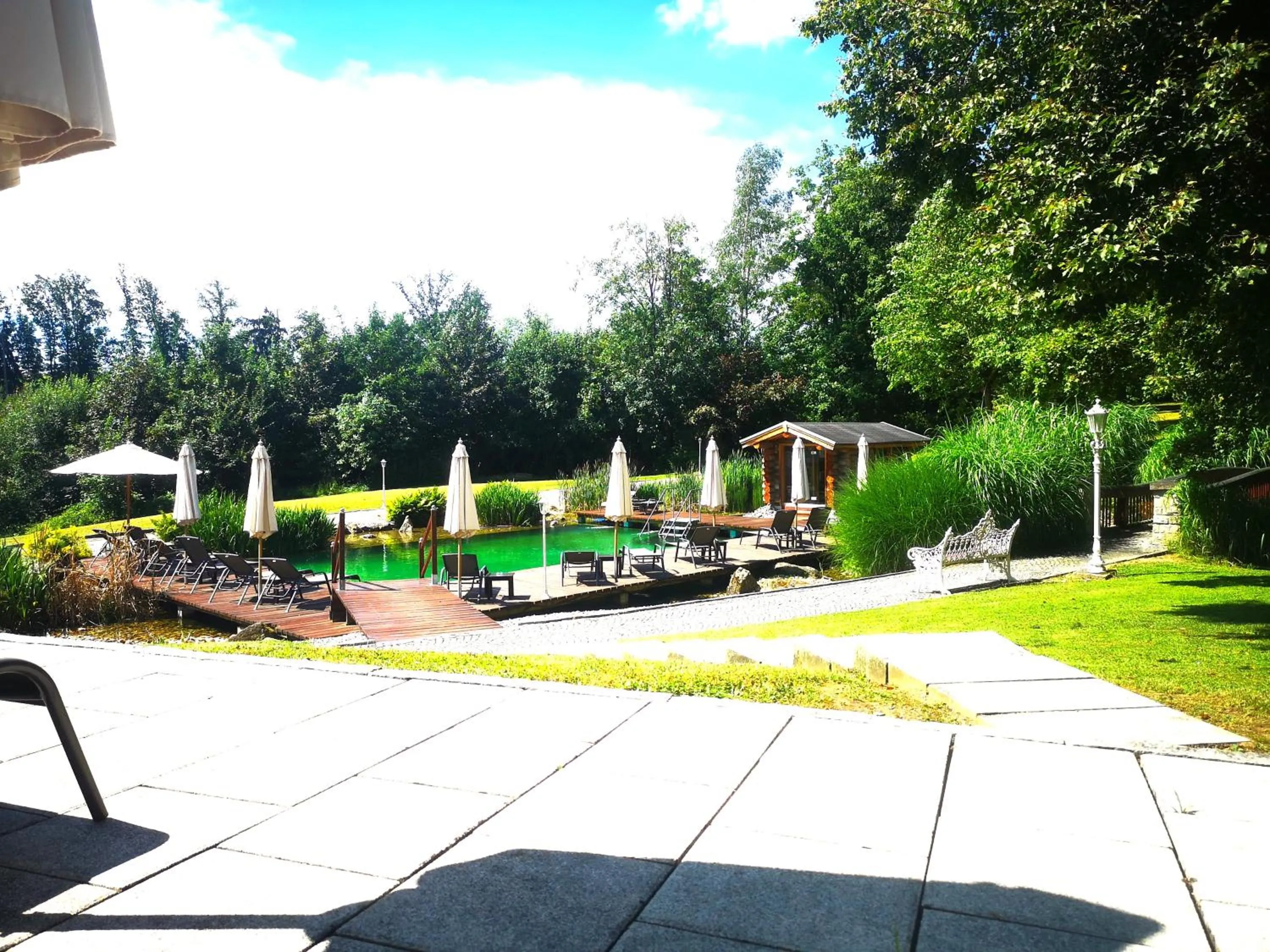 Swimming pool in Wellnesshotel Parkschlössl zu Thyrnau Ihr adults only SPA Resort