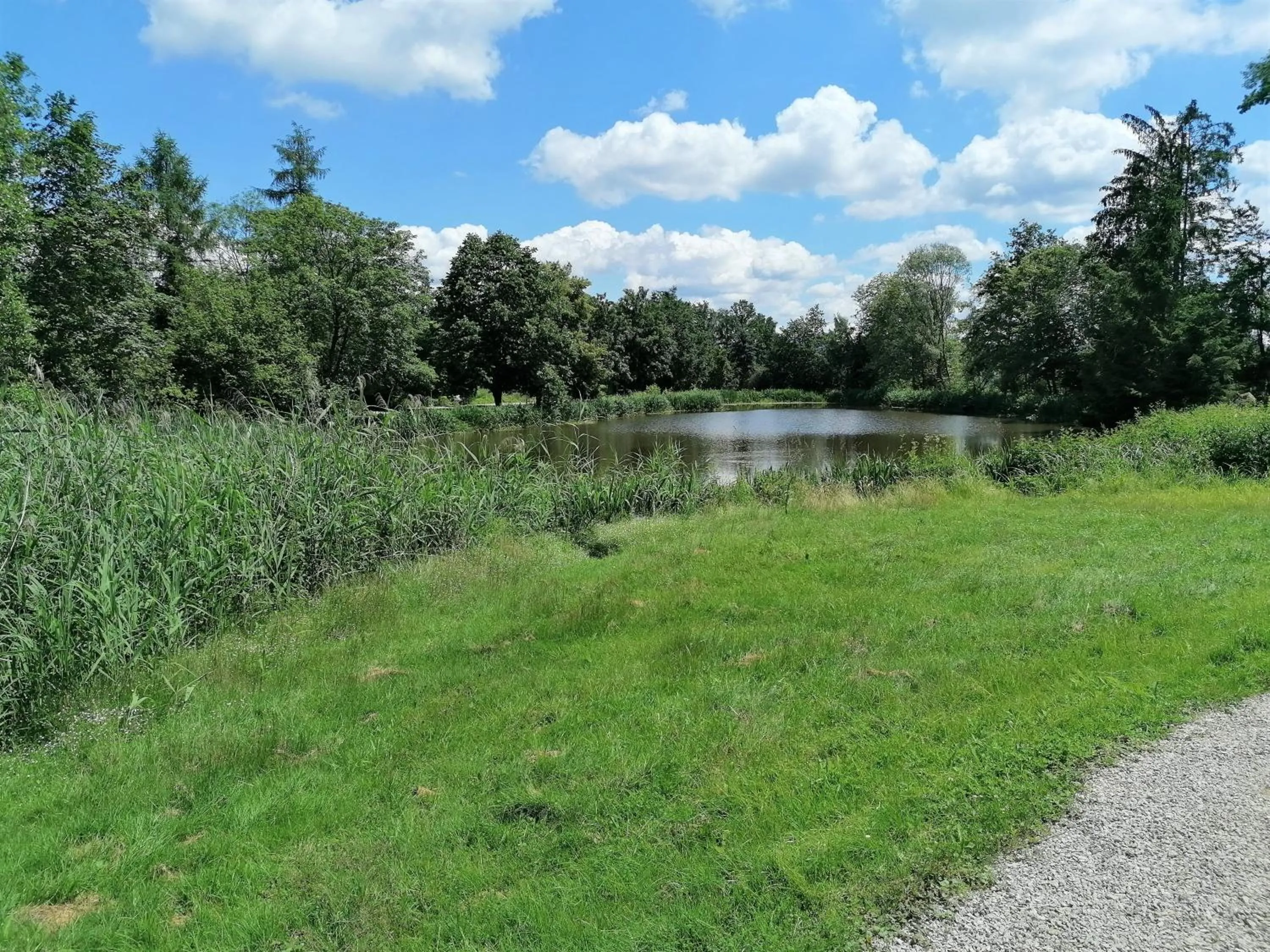 Garden in Wellnesshotel Parkschlössl zu Thyrnau Ihr adults only SPA Resort