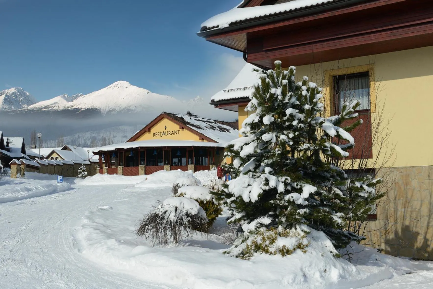 Spring in Hotel Amalia