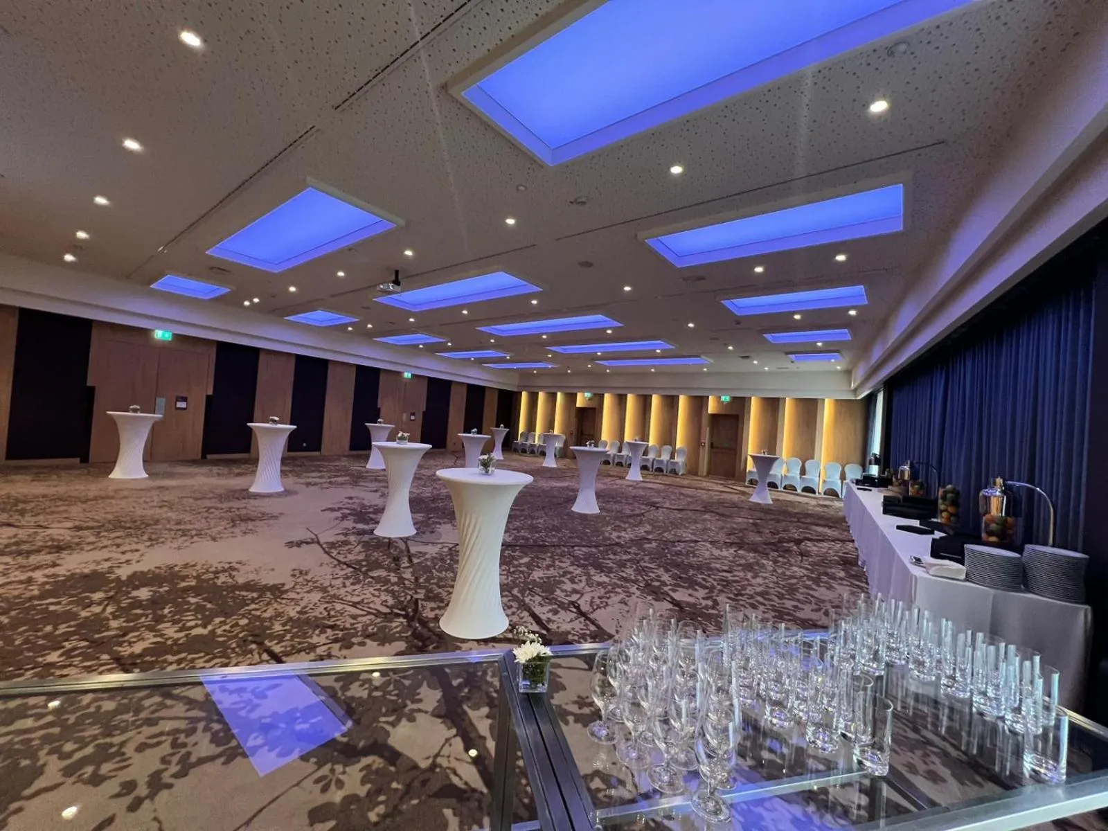 Banquet/Function facilities in Hilton Garden Inn Tirana