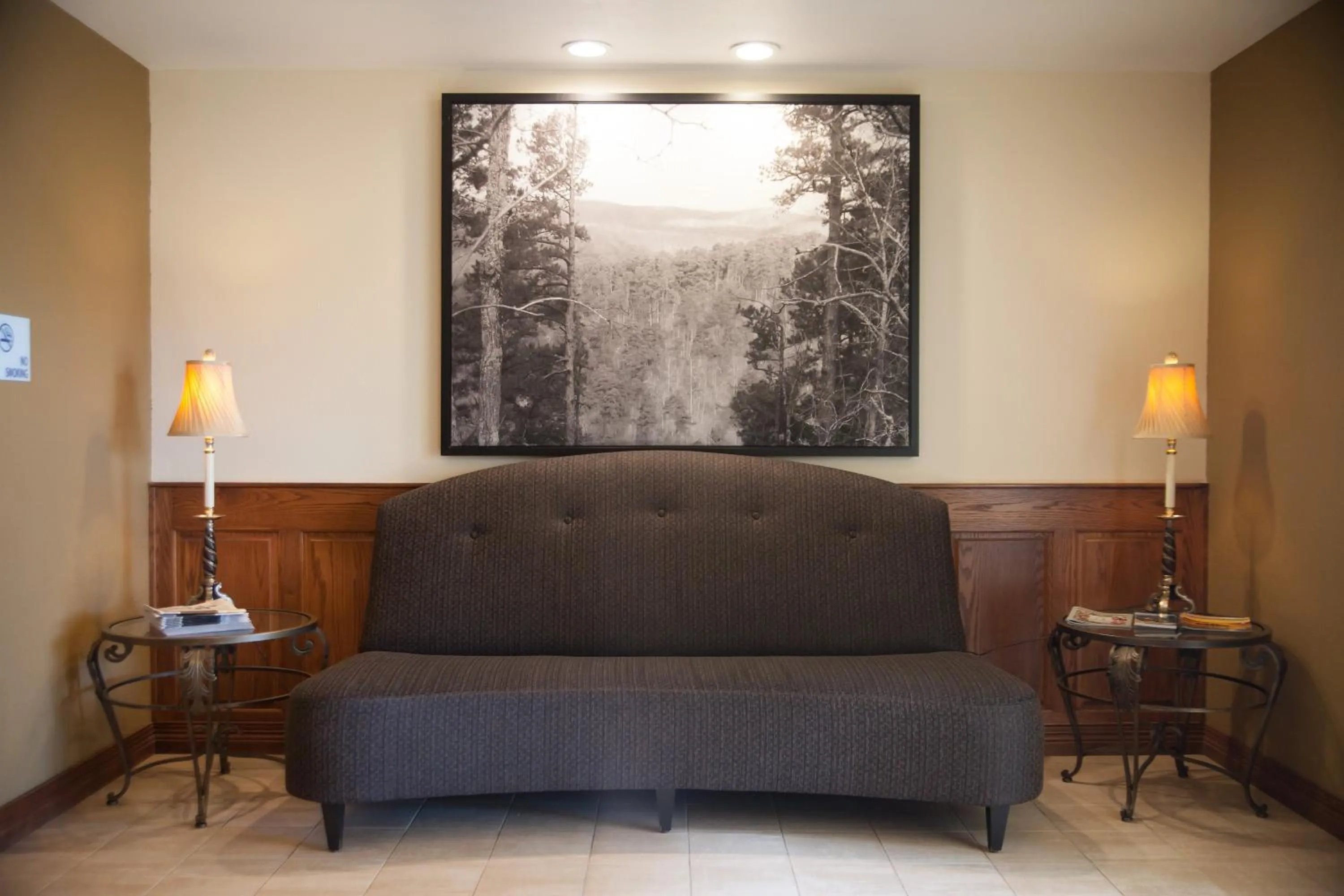 Lobby or reception in Holiday Inn Express Hotels & Suites Mountain Home by IHG