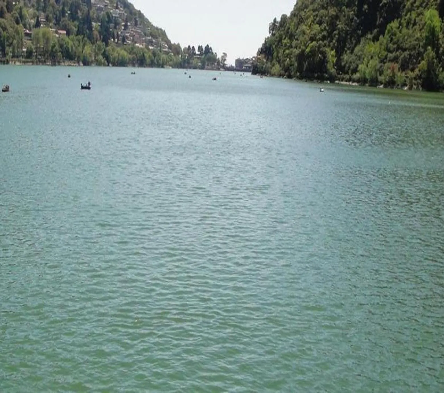 River view in StayApart I The Maple Residences - Lake Front