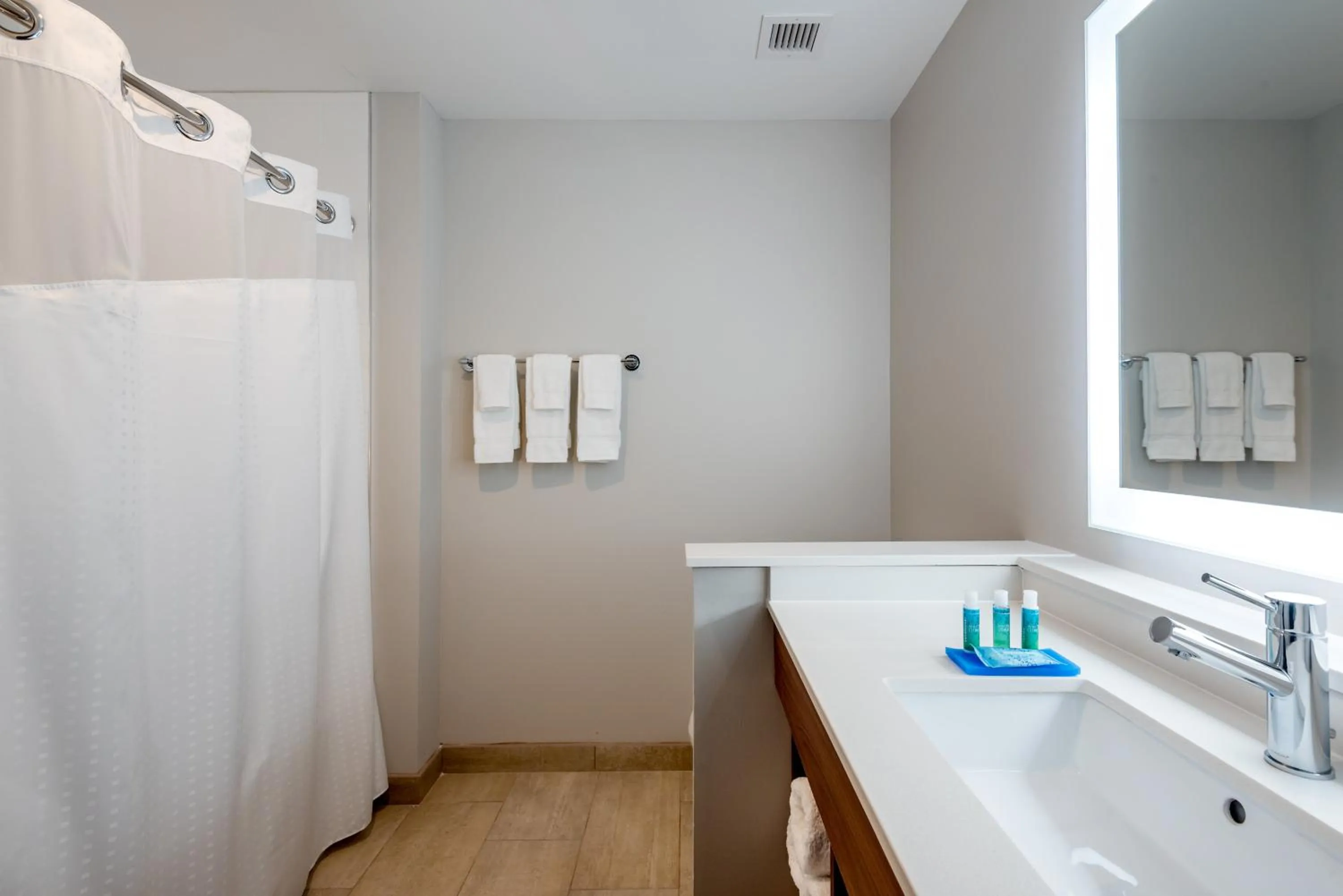Bathroom in Holiday Inn Express & Suites - Punta Gorda by IHG
