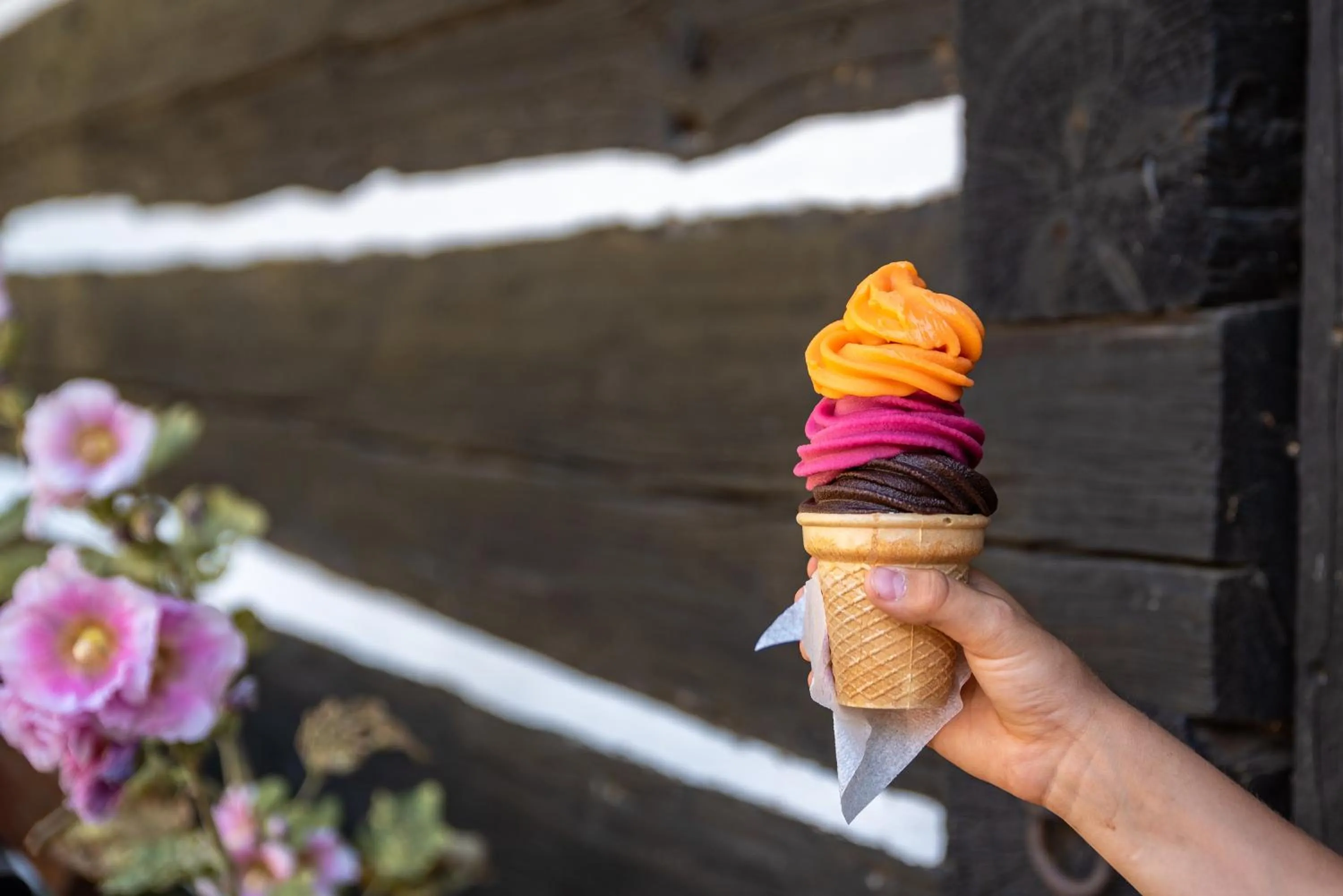 Activities in Lakepark Residence